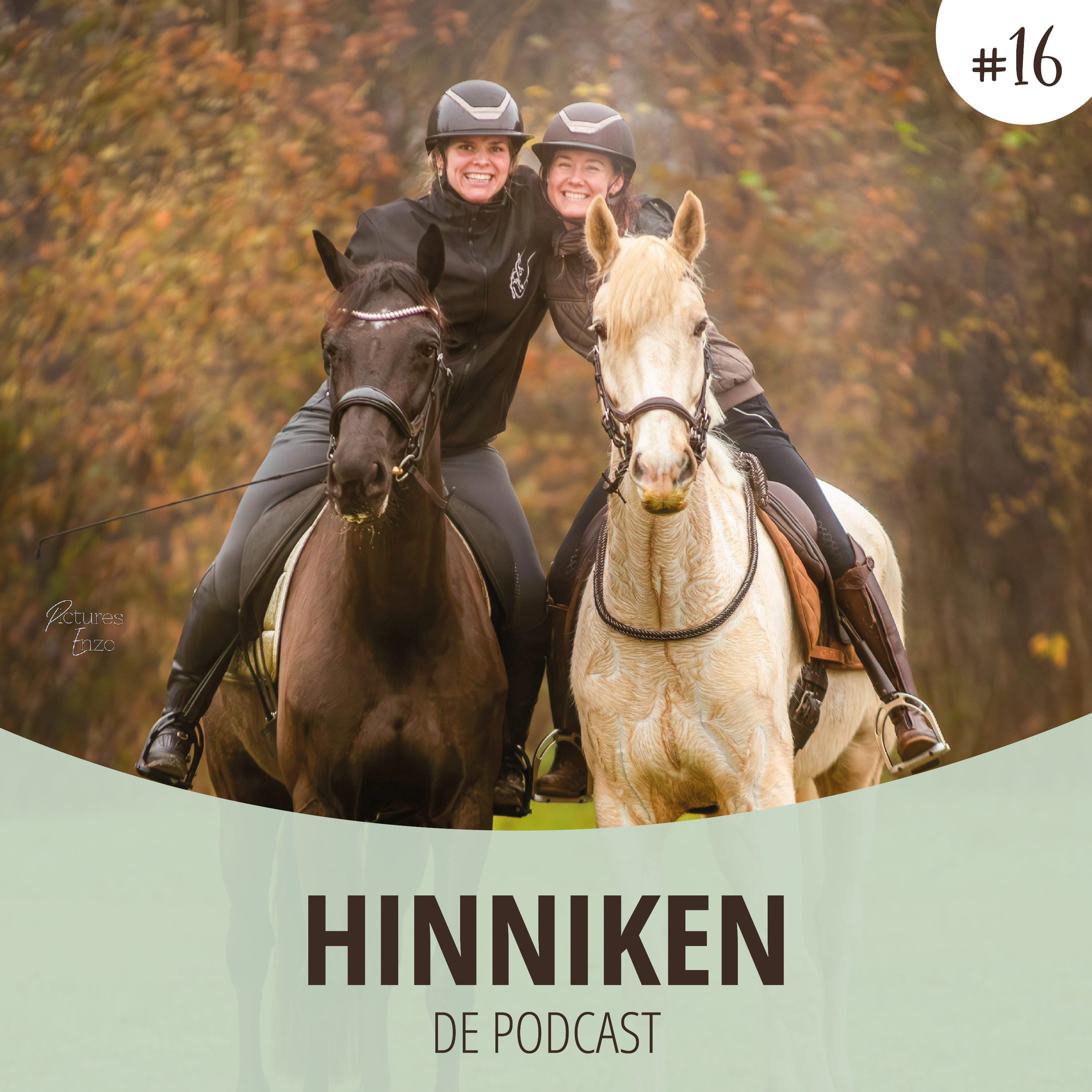 Hinniken de Podcast
