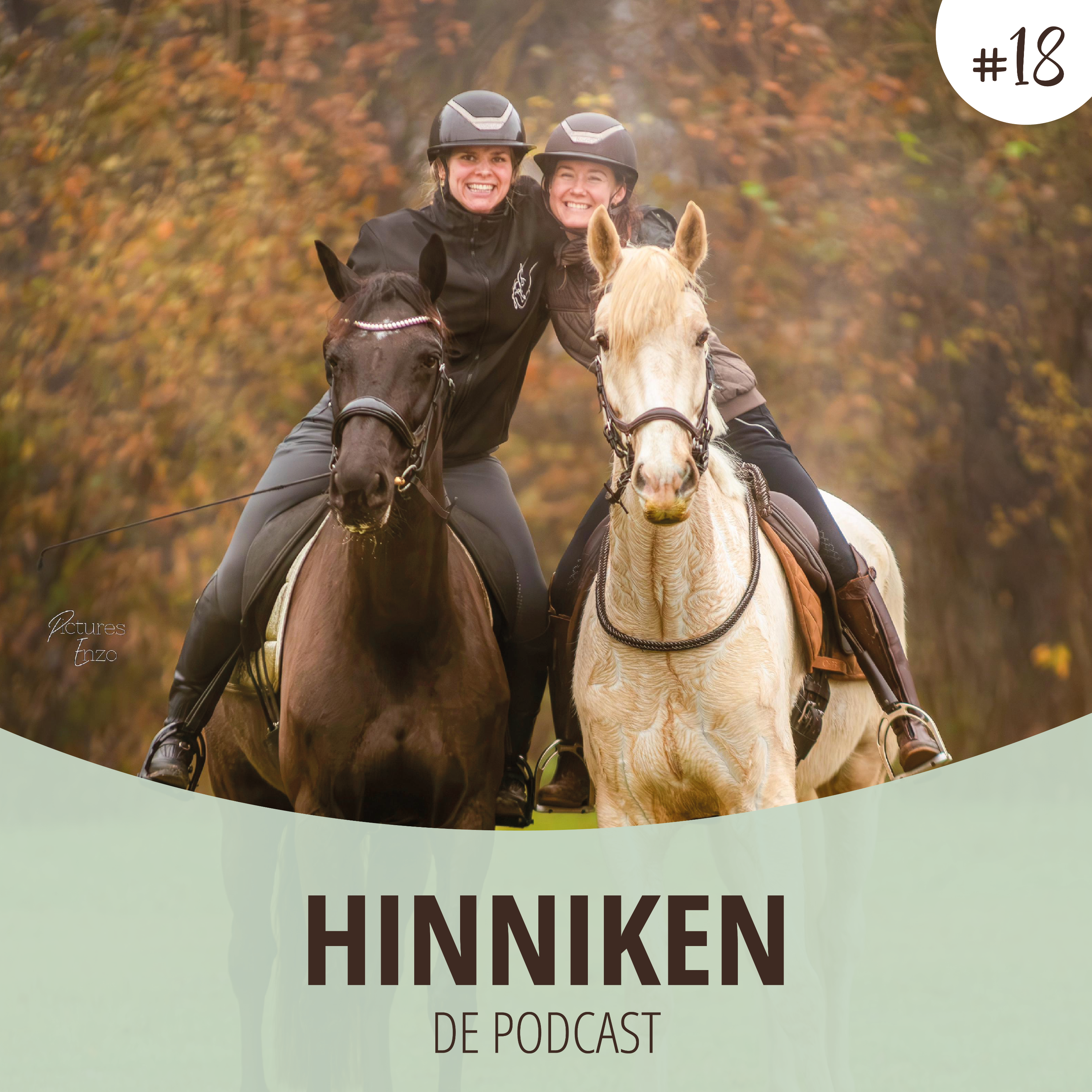 Hinniken de Podcast