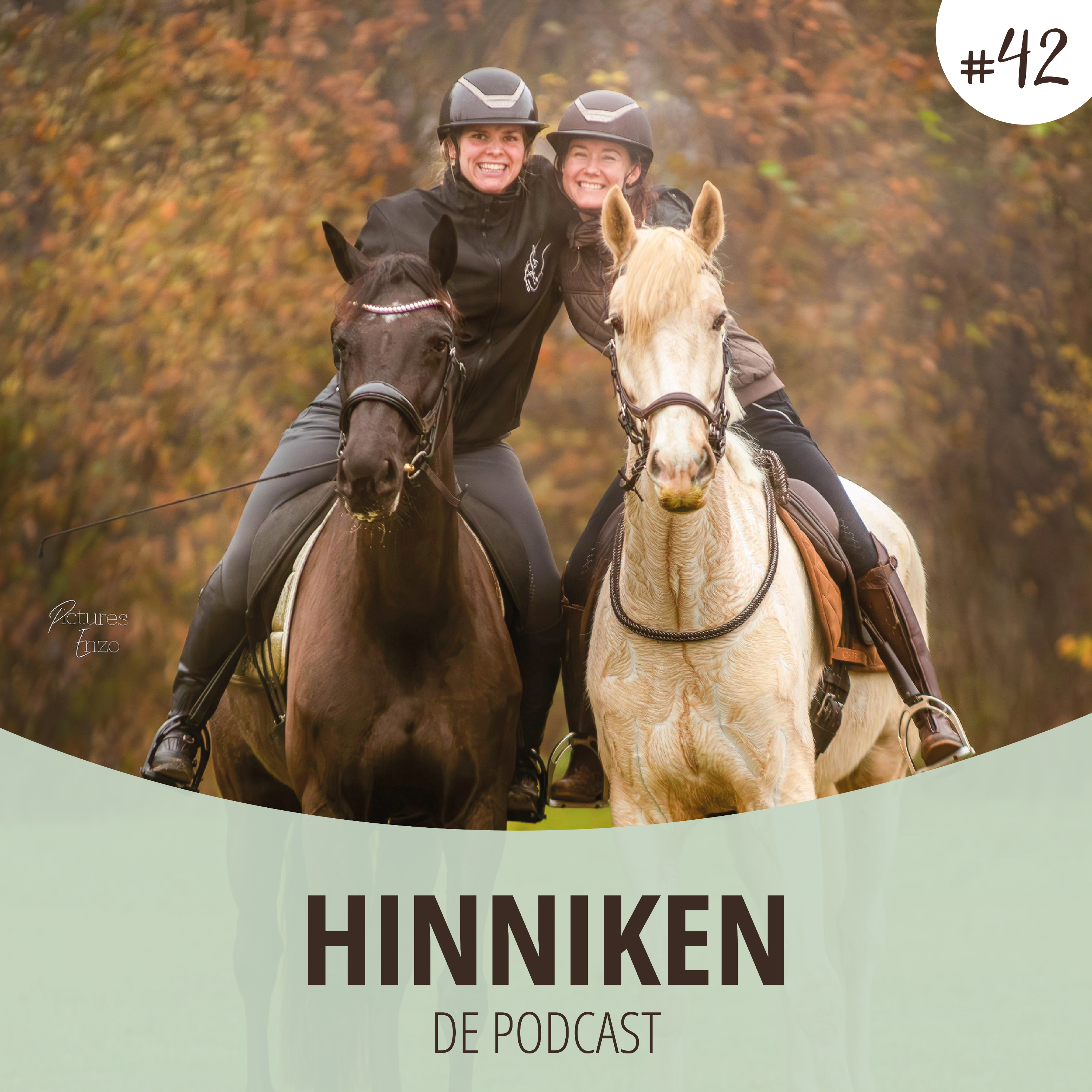 Hinniken de Podcast