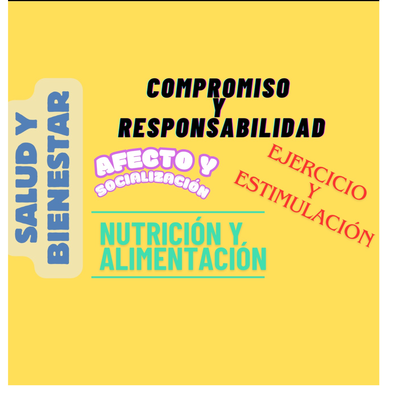 5 TIPS impresindibles para ser EL MEJOR amigo de los gatos en menos de 5 minutos