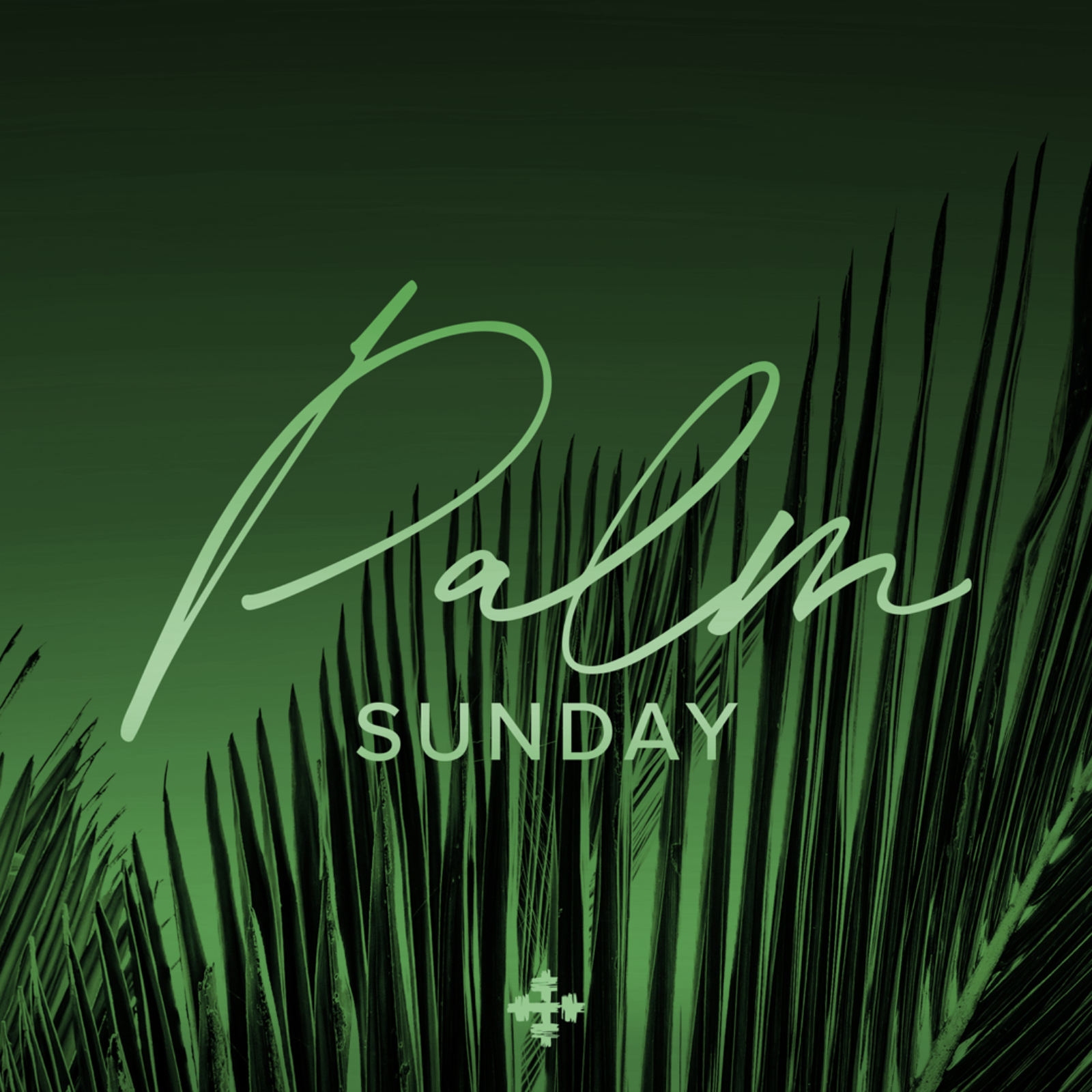Palm Sunday