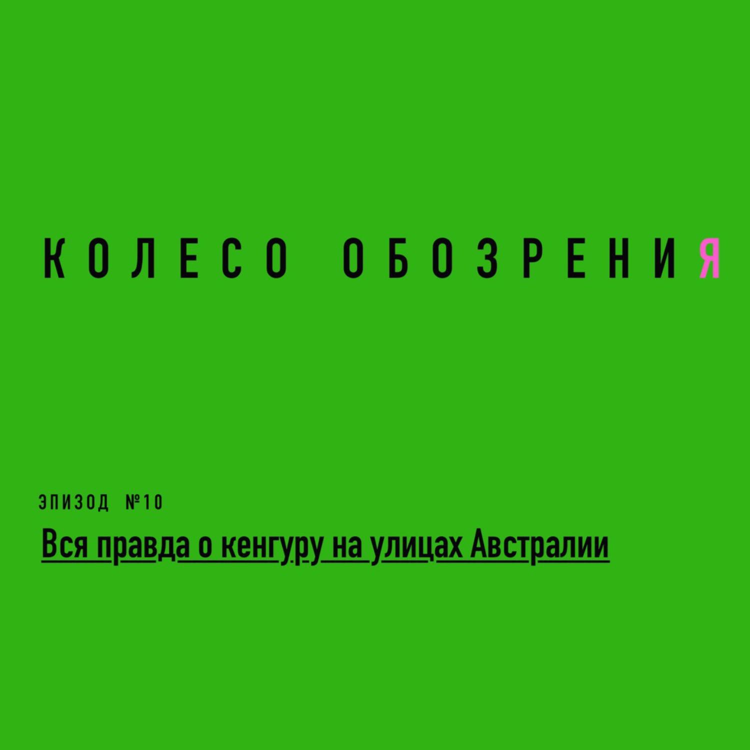 Вся правда о кенгуру на улицах Австралии Вся правда о кенгуру на улицах Австралии