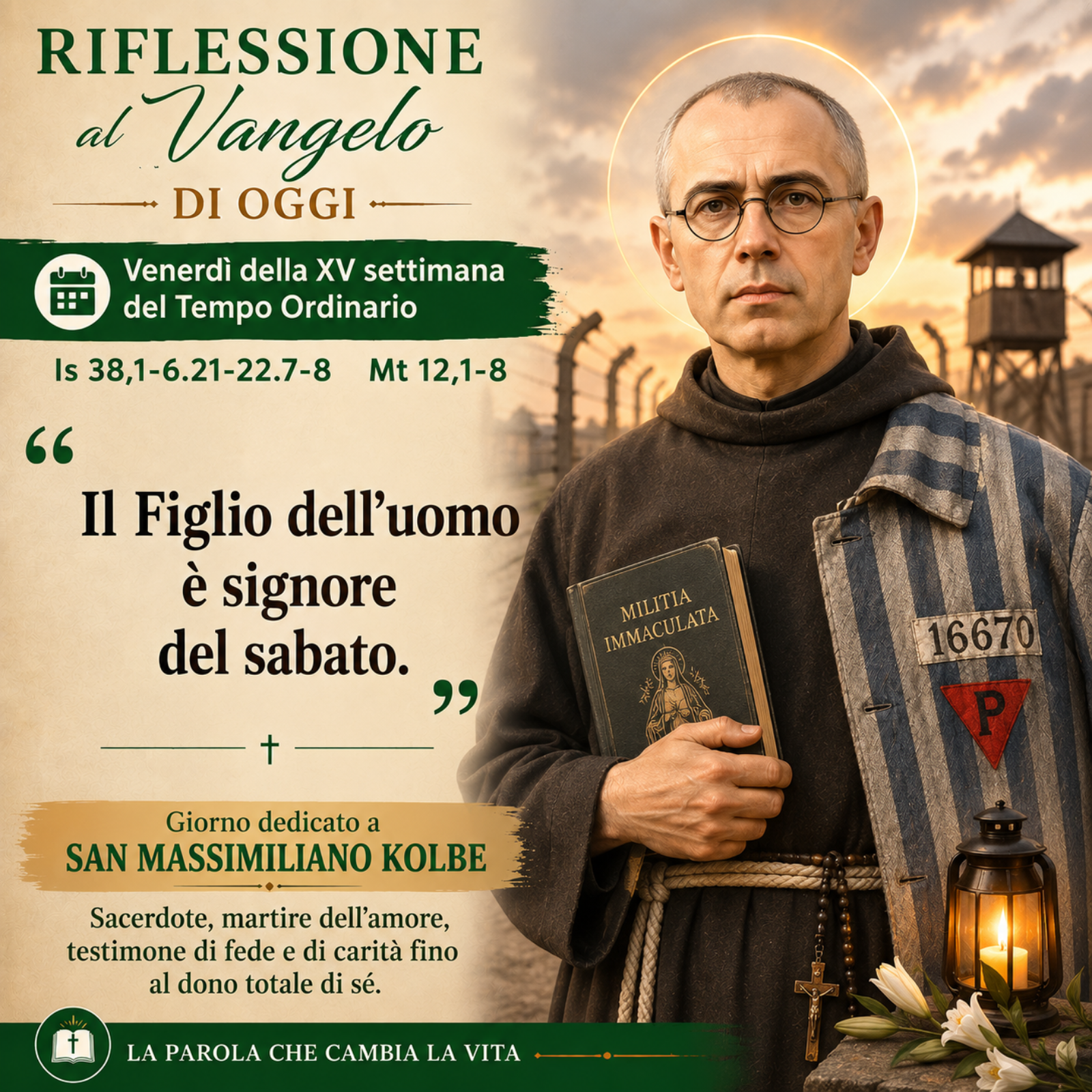 Riflessione di oggi al Vangelo di oggi - Mt 12,1-8 "Il Figlio dell'uomo è signore del sabato". episode artwork
