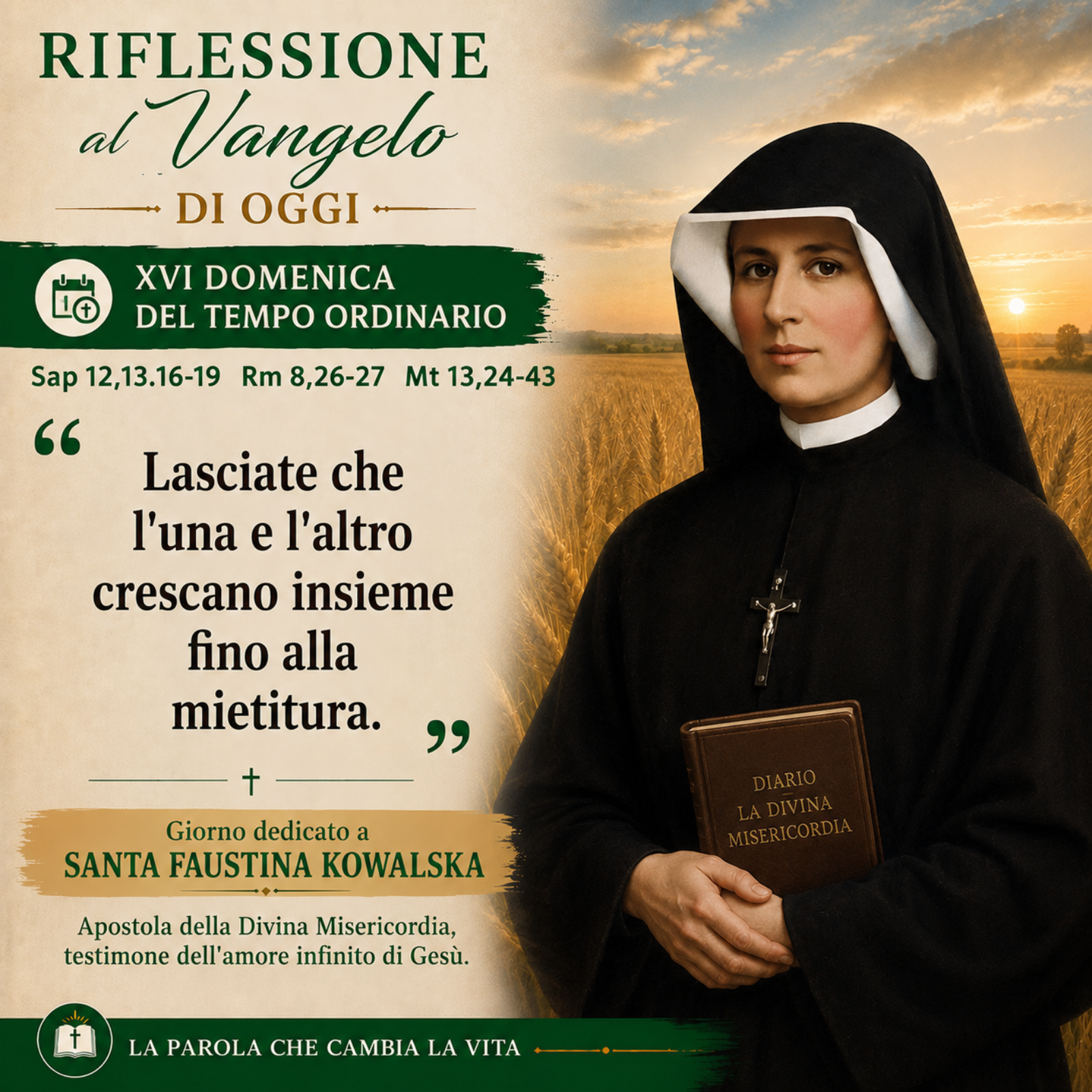 Riflessione e Vangelo del 19 Luglio 2026 - Mt 13,24-43 episode artwork