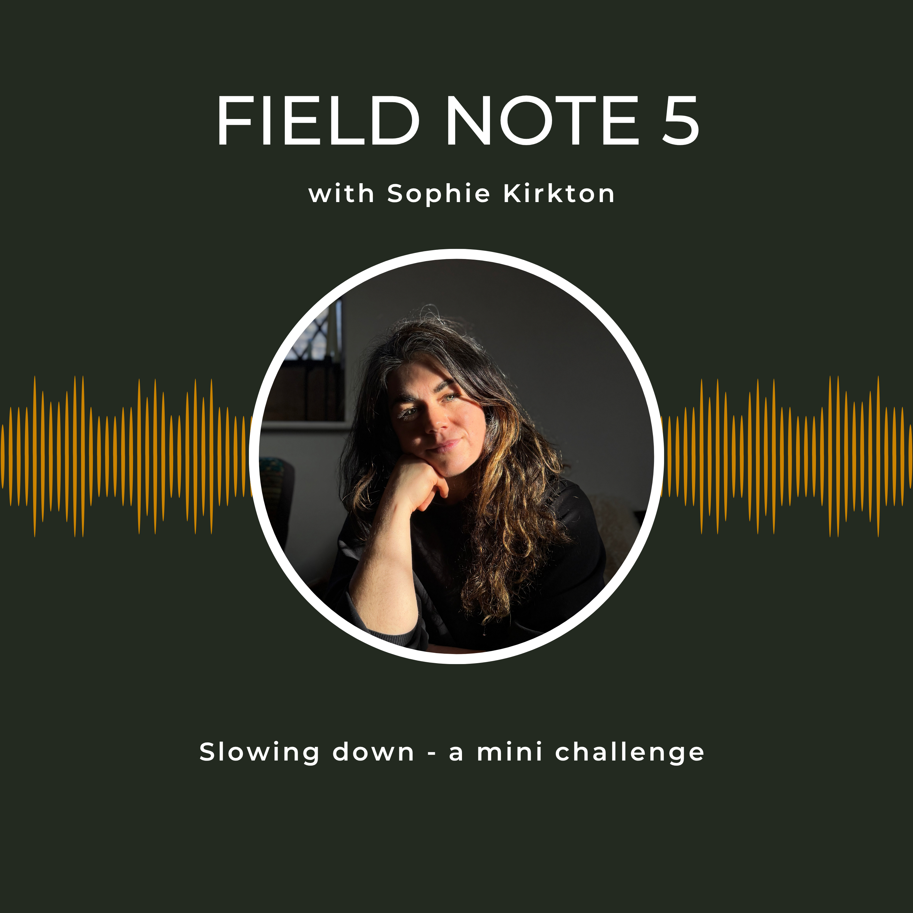 Field Note 5 - Slowing down - a mini challenge  episode artwork