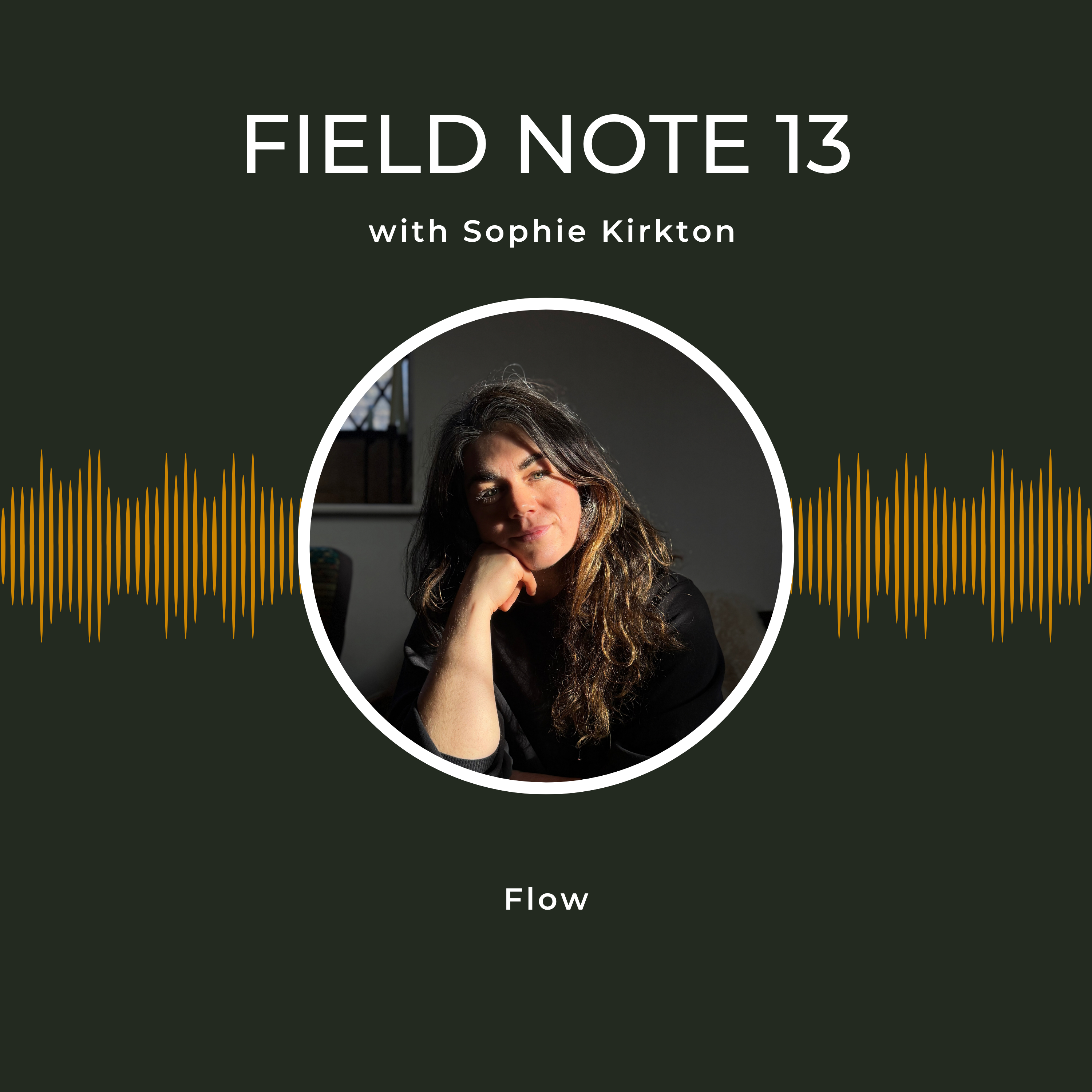 Field Note 13 - Flow episode artwork