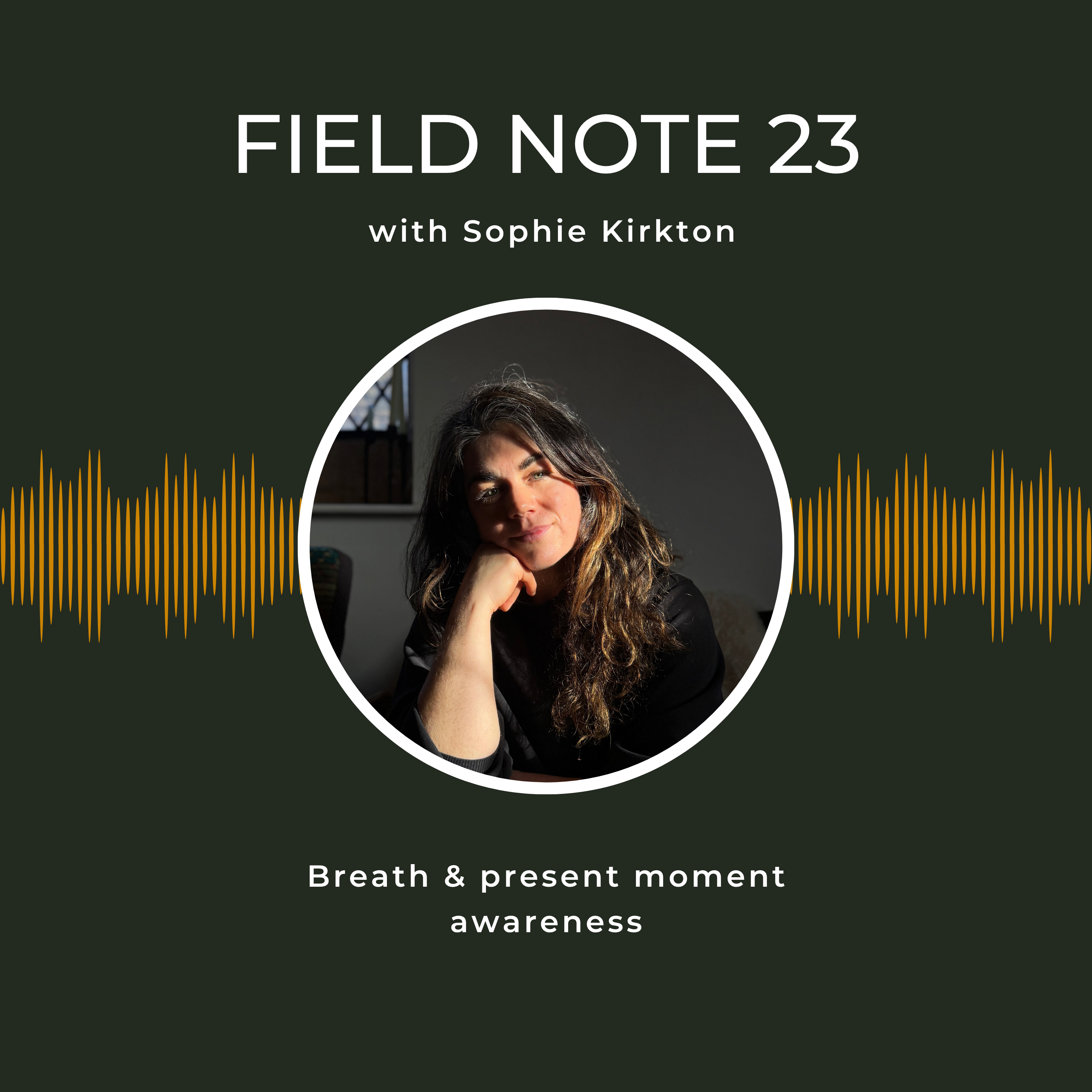 Field Note - 23 episode artwork