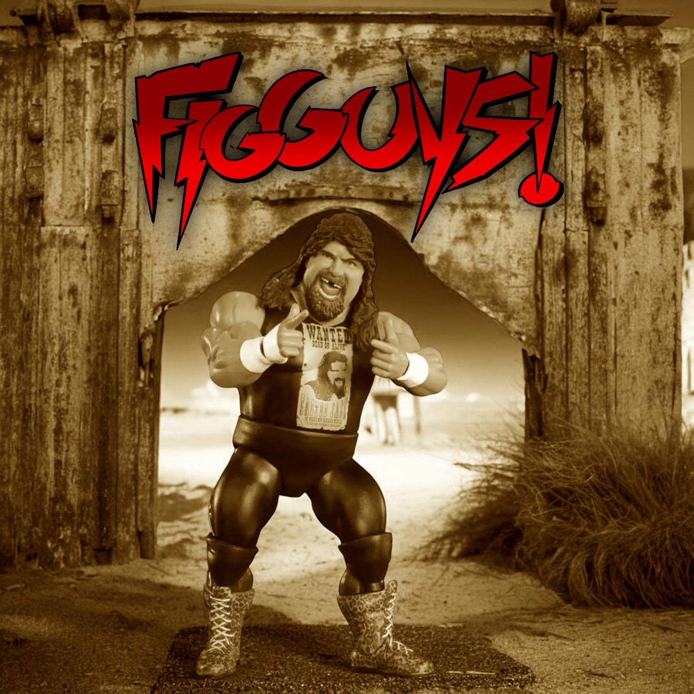 The FigGuys - A Wrestling Action Figures & Collectibles Podcast