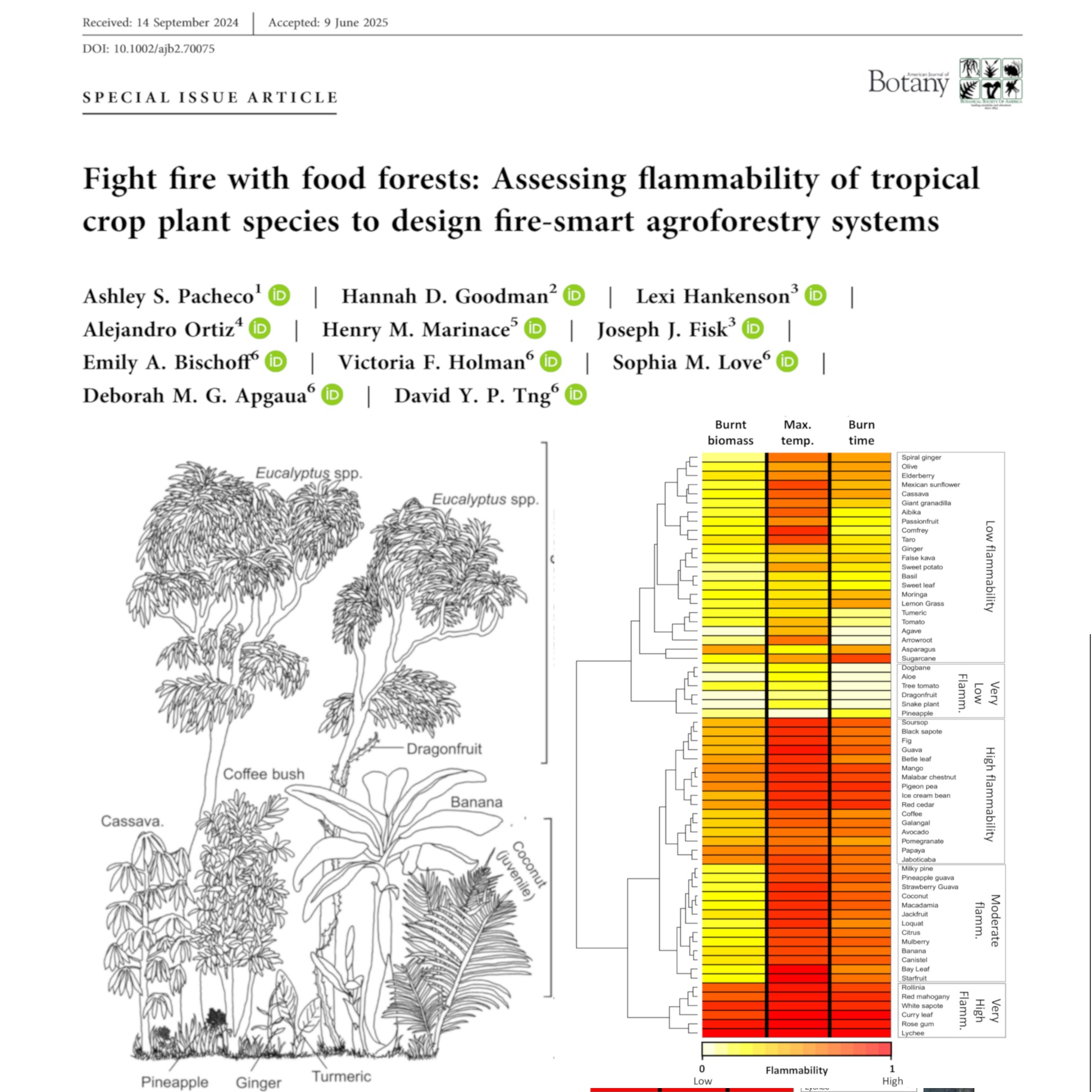 Fight fire with food forests podcast artwork