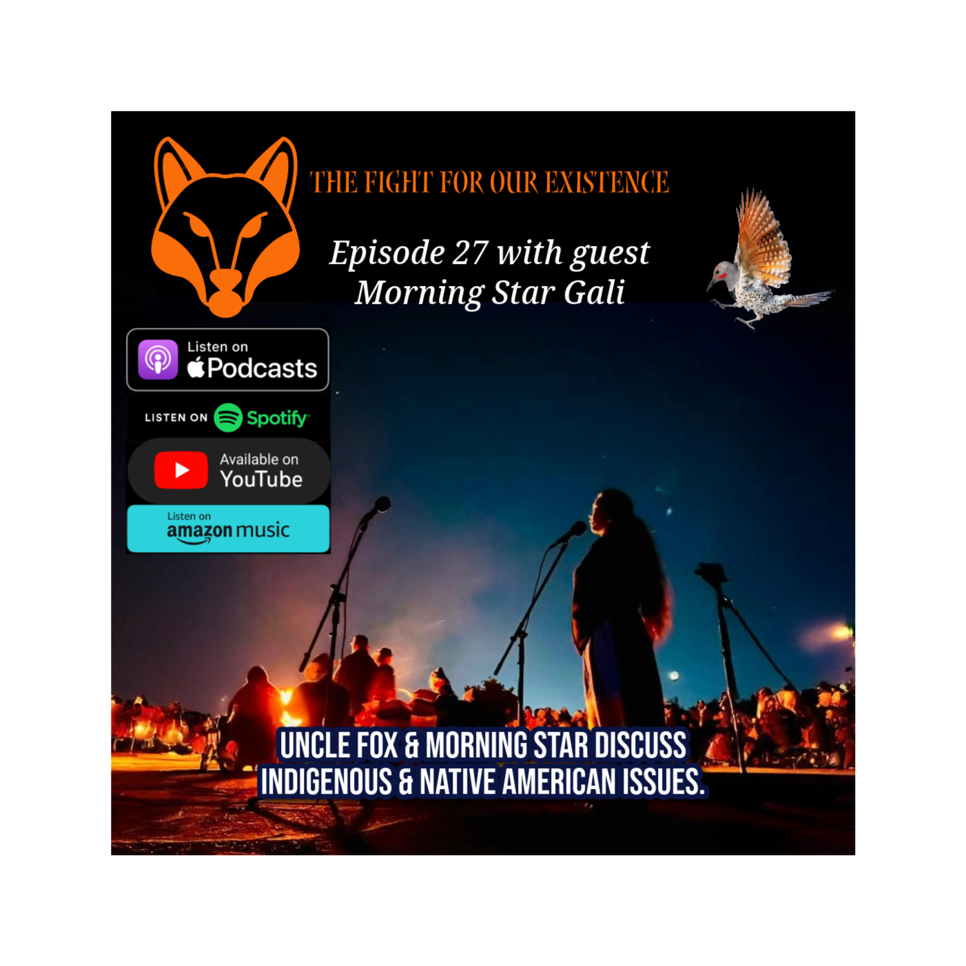 A discussion with Morning Star Gali, a proud member of the Ajumawi Band of the Pit River Tribe in Northern California - Episode 27 episode artwork