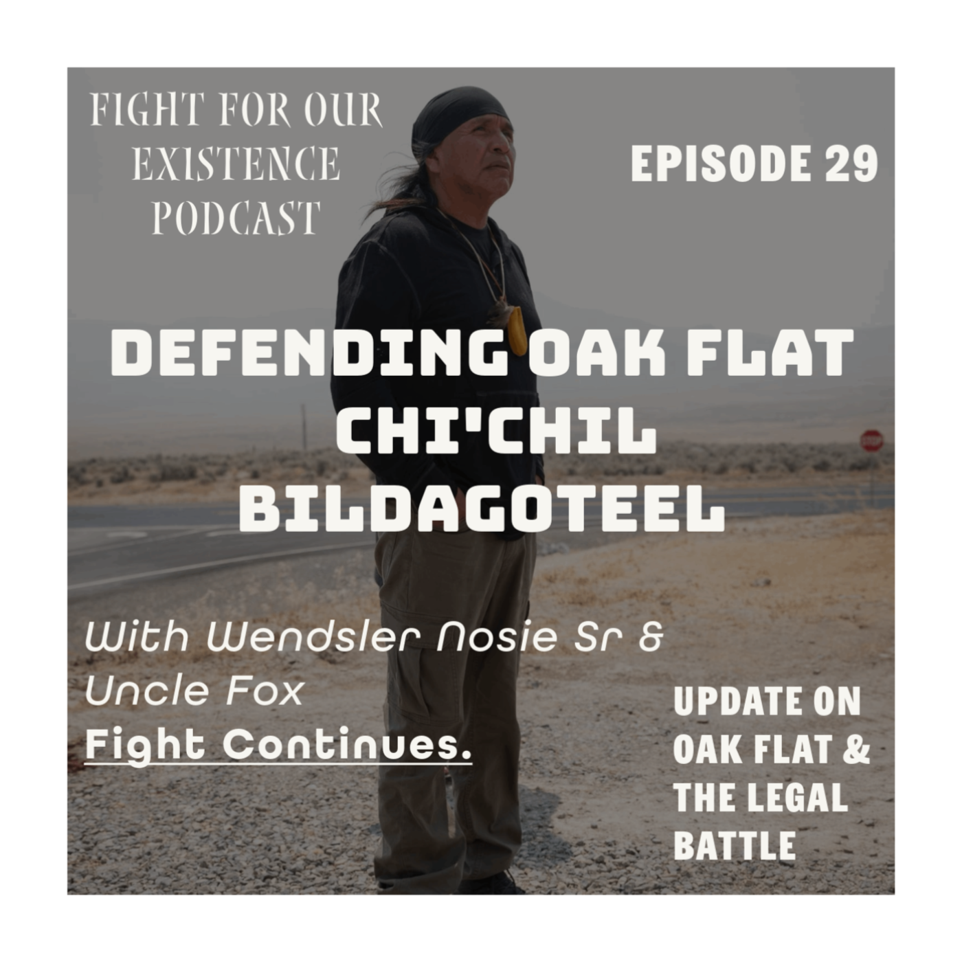Defending Chi'chil Bildagoteel: Wendsler Nosie on the Fight for Oak Flat - Episode 29 episode artwork