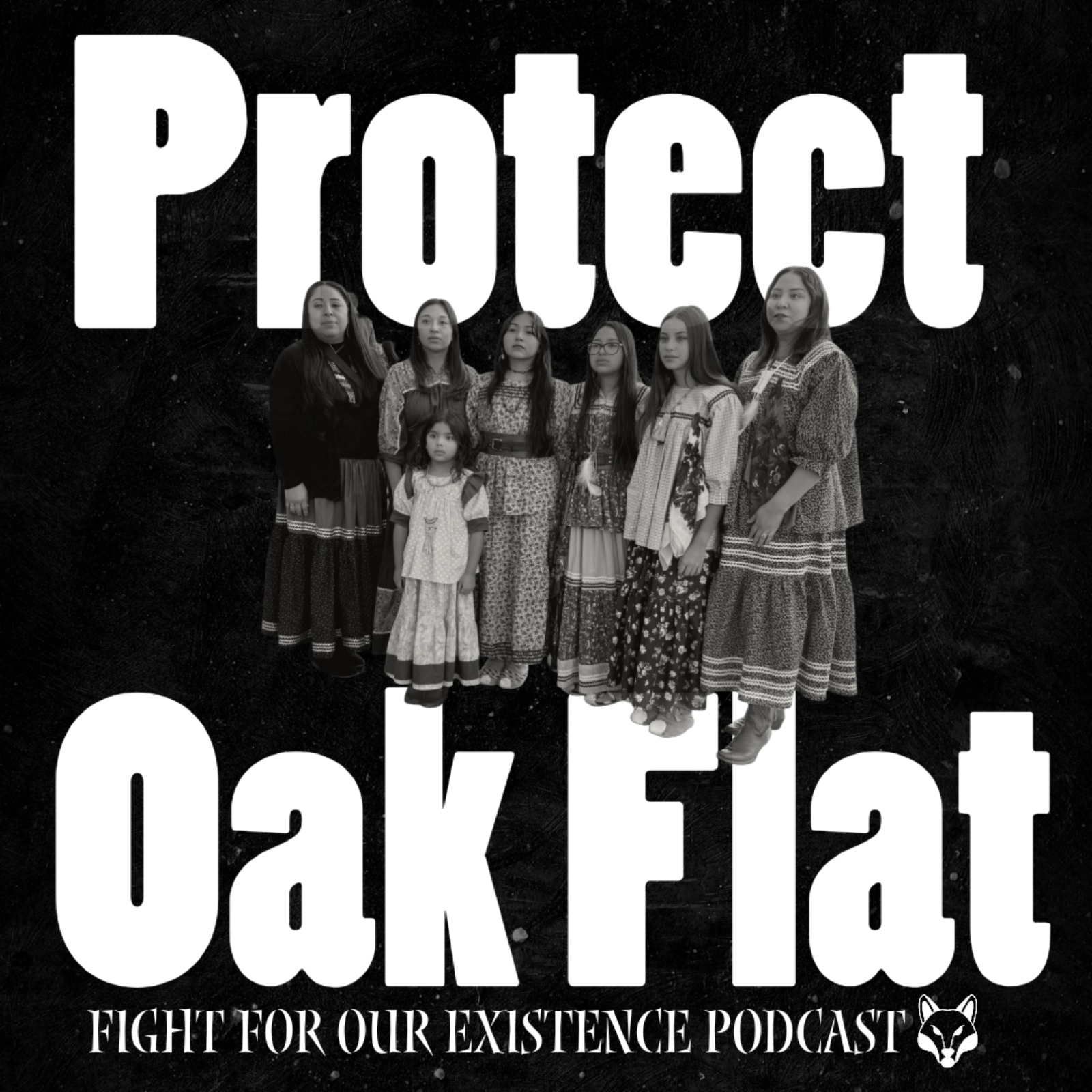 Oak Flat: The Fight Continues episode artwork