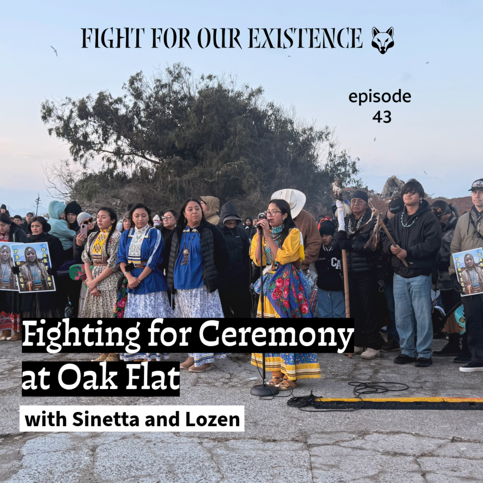 Fighting for Ceremony at Oak Flat episode artwork