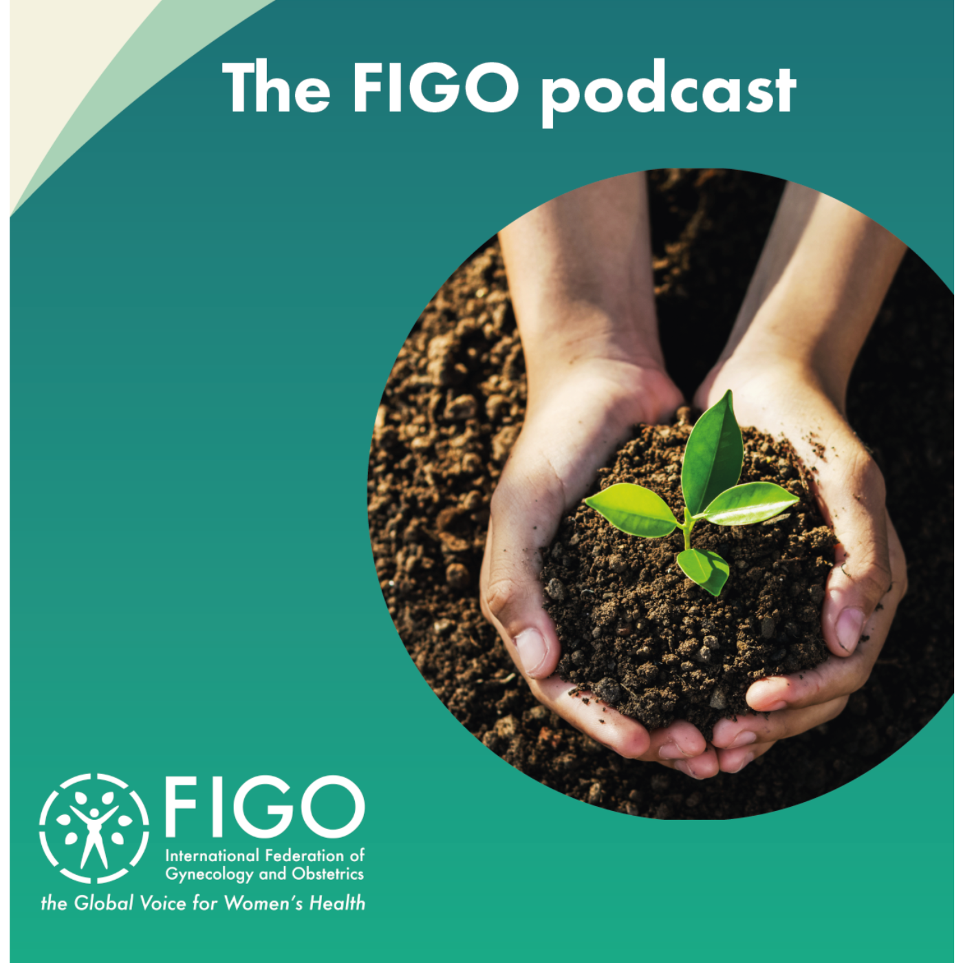 Exploring environmental drivers of global women's health