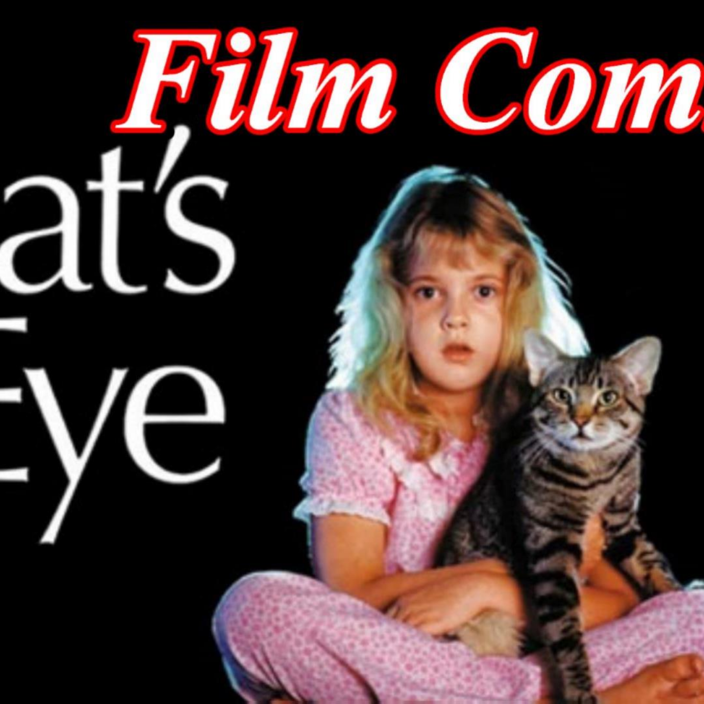 Film Fanatic Commentaries