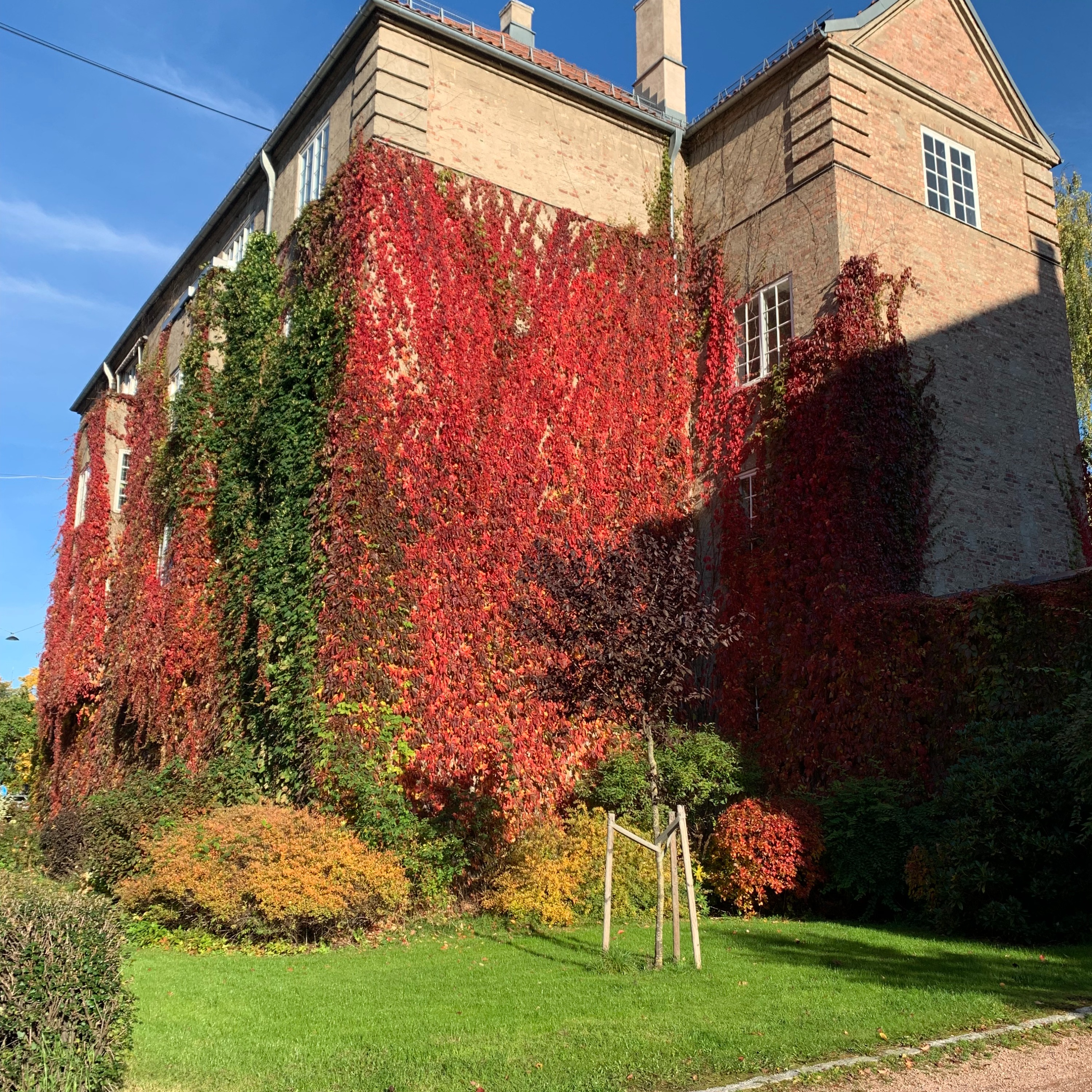 Filosofisk Supplement