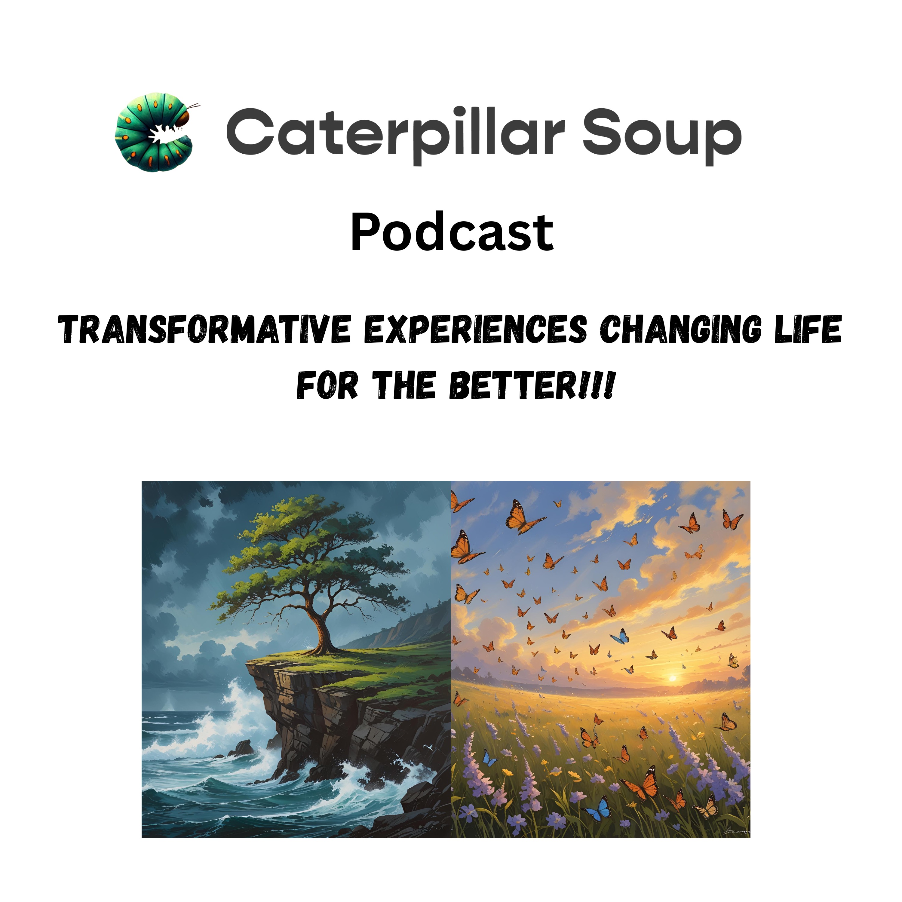 Caterpillar Soup Podcast - Conversation with Susan Cambigue Tracey episode artwork