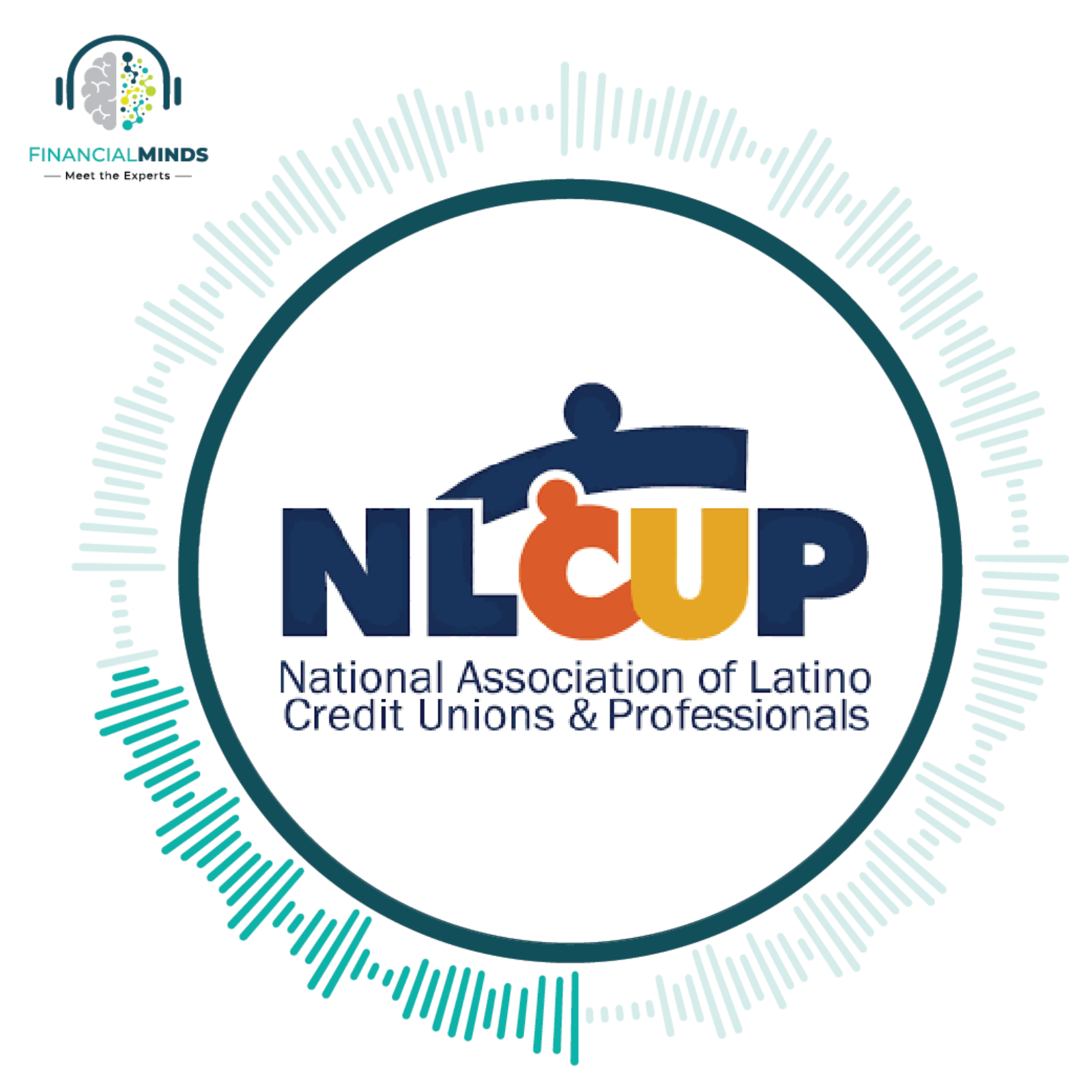 Financial Minds: Meet the Experts