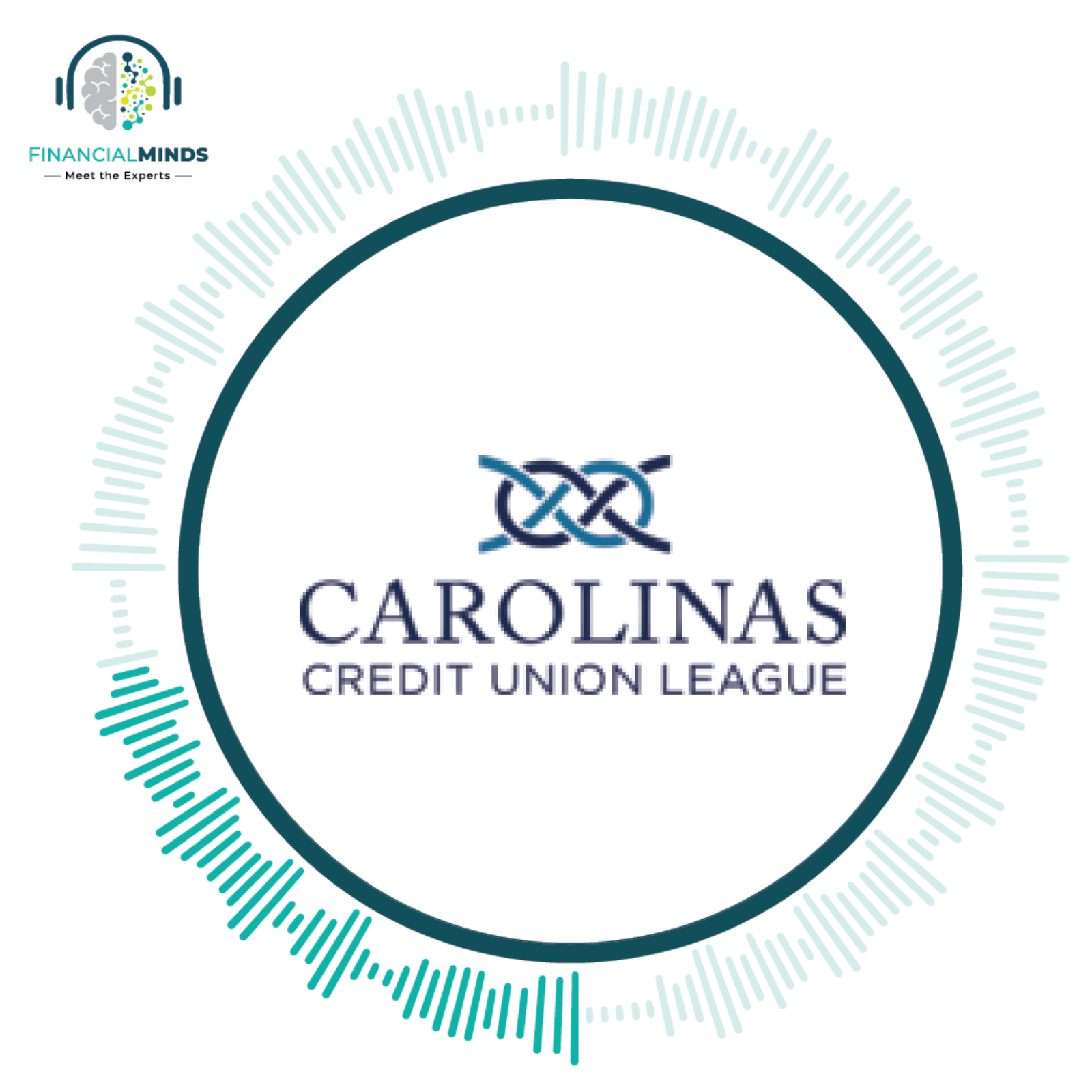 Financial Minds: Meet the Experts