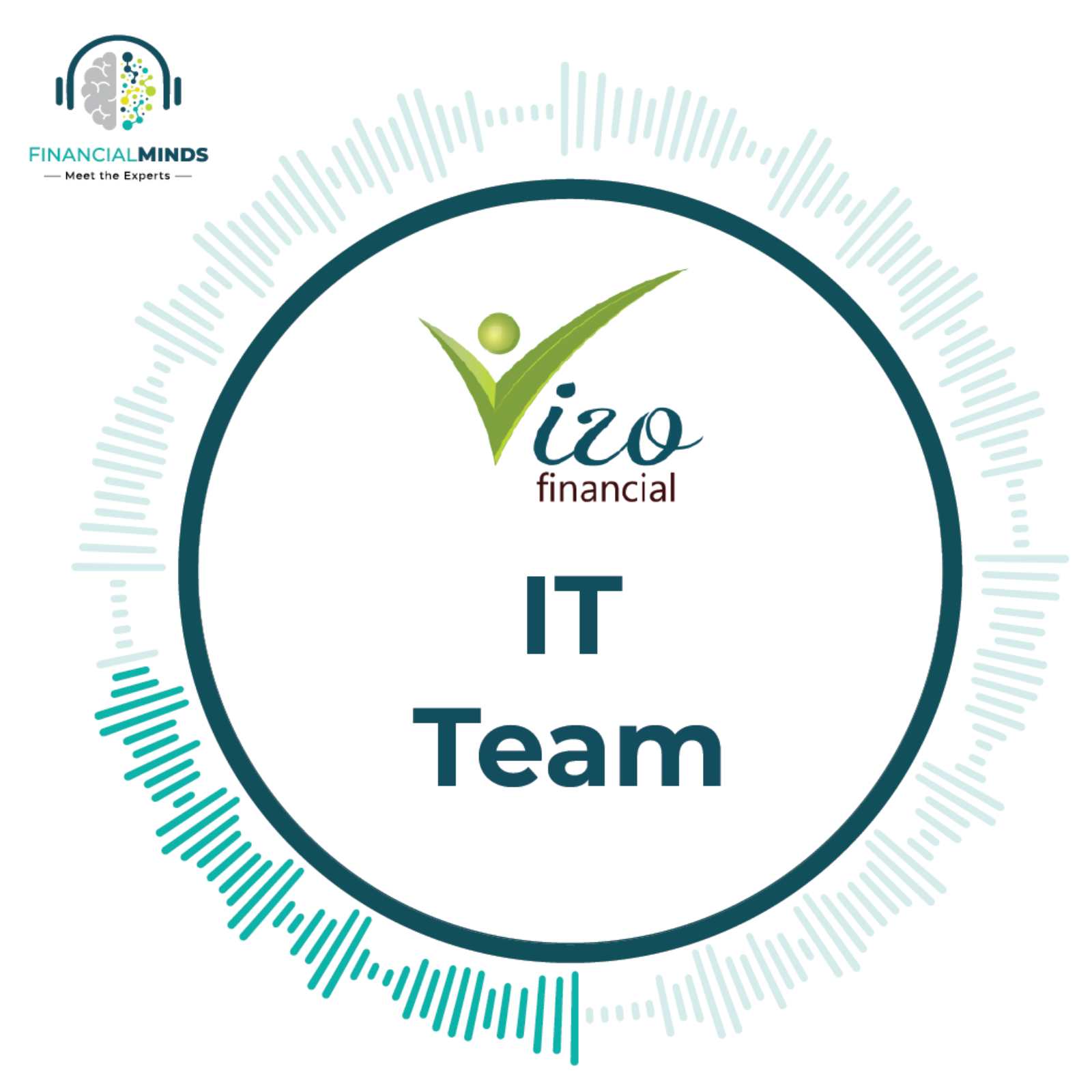 Meet the Team: IT