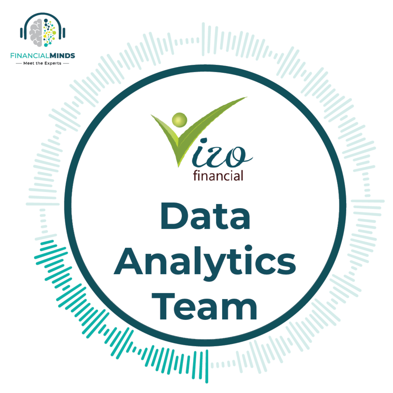 Meet the Team: Data Analytics