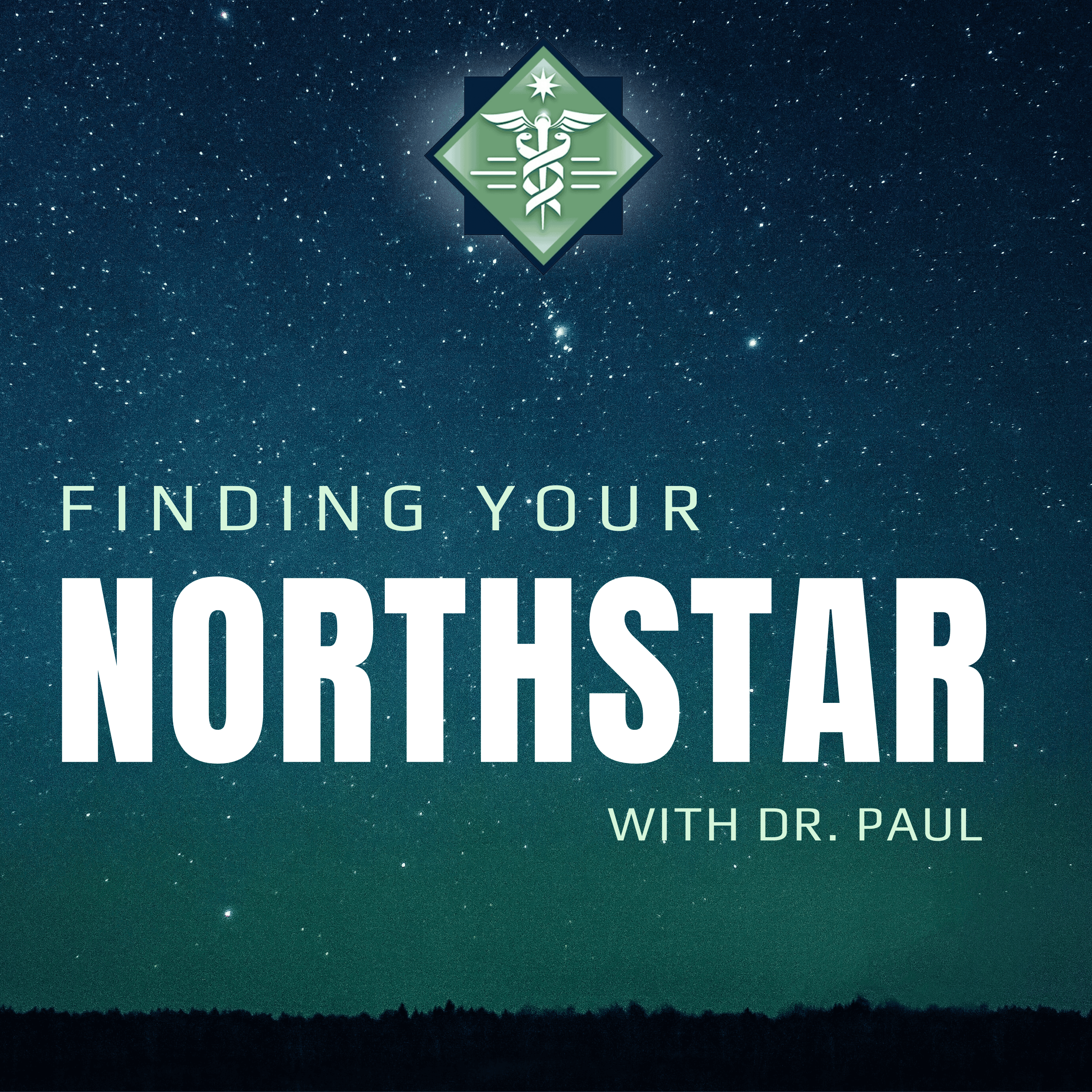 Finding Your Northstar cover art
