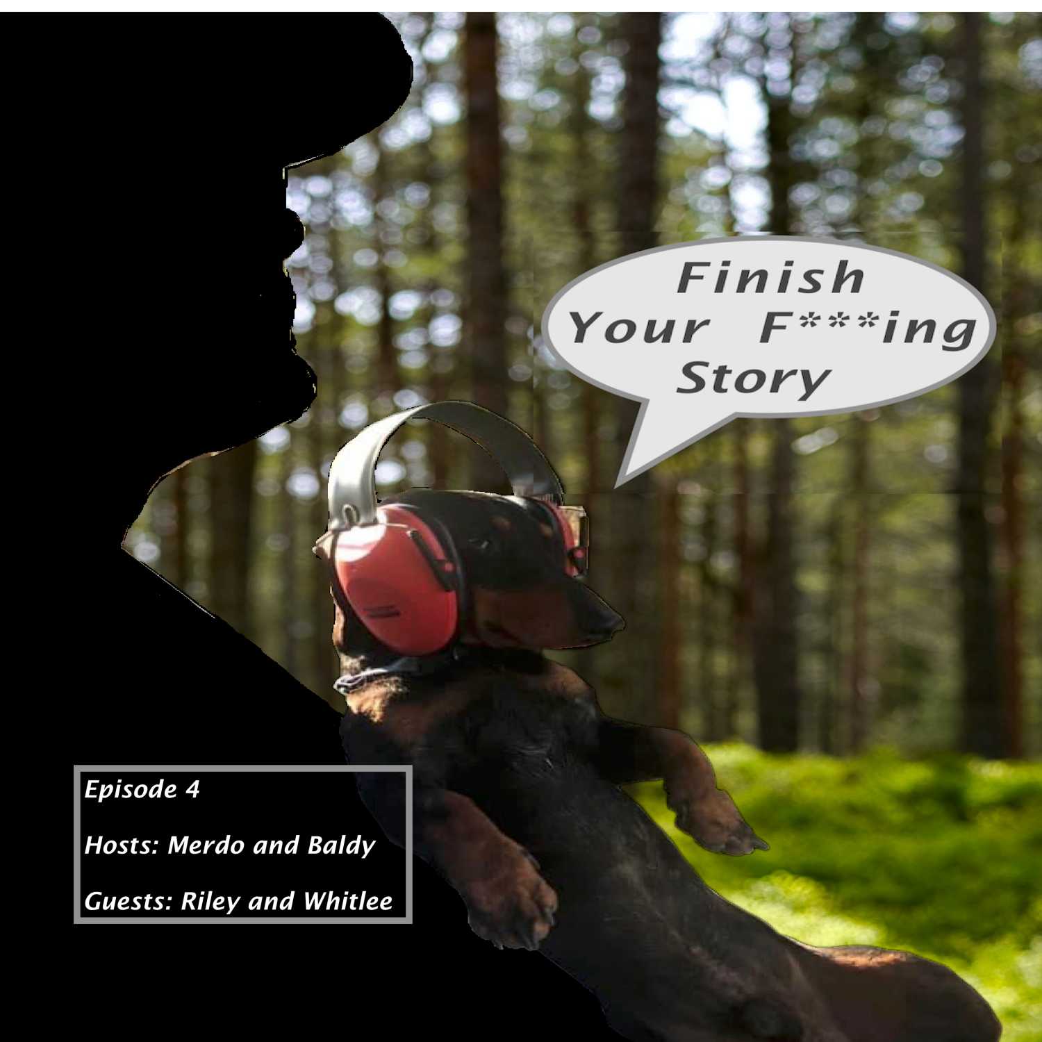 Finish Your F***ing Story
