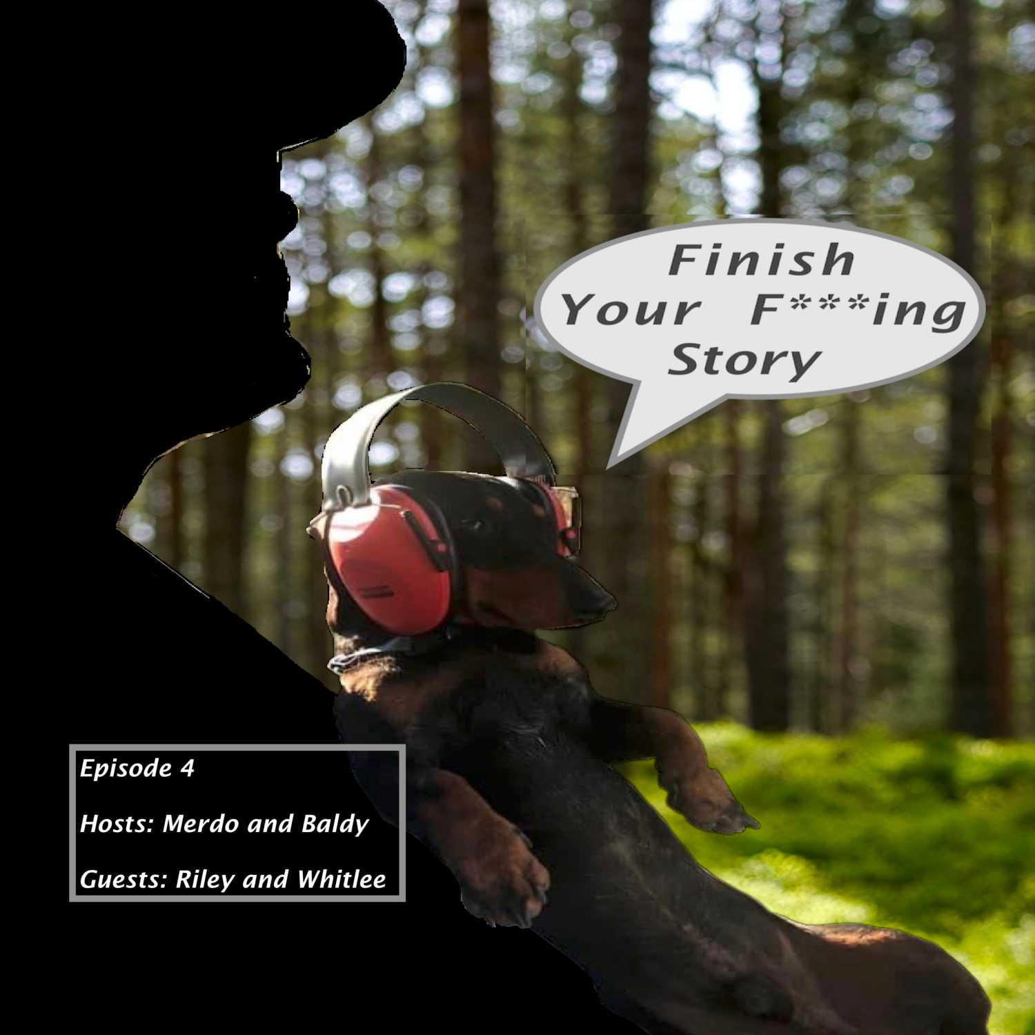 Finish Your F***ing Story