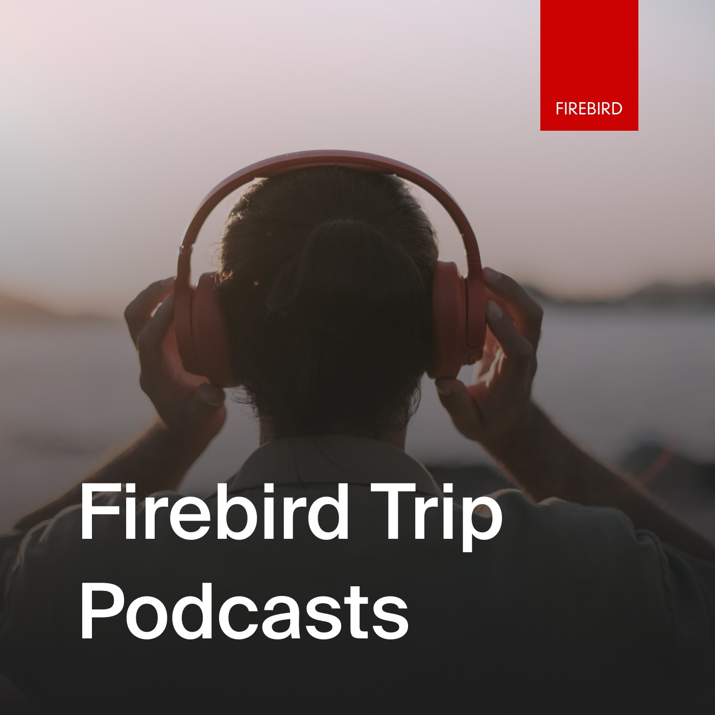 Scandinavian Capitals & Fjords - a private tour episode artwork