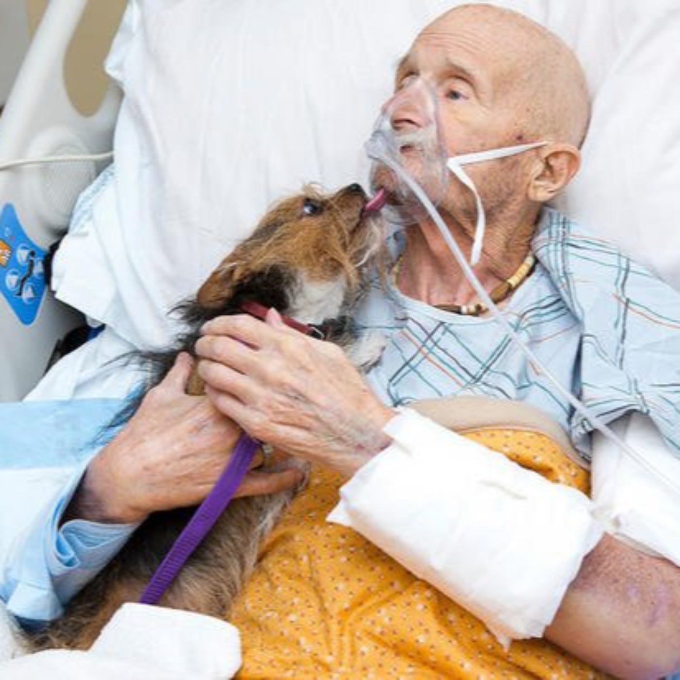 Veterans Need Help NOW!