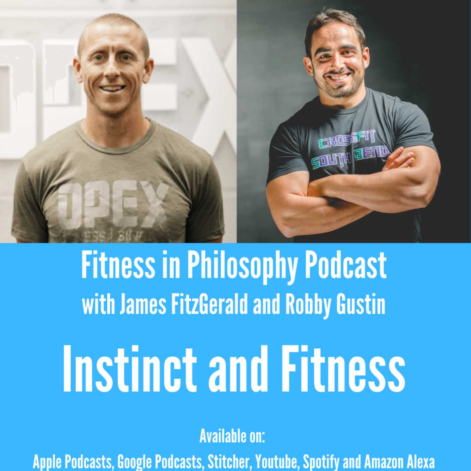 Fitness in Philosophy