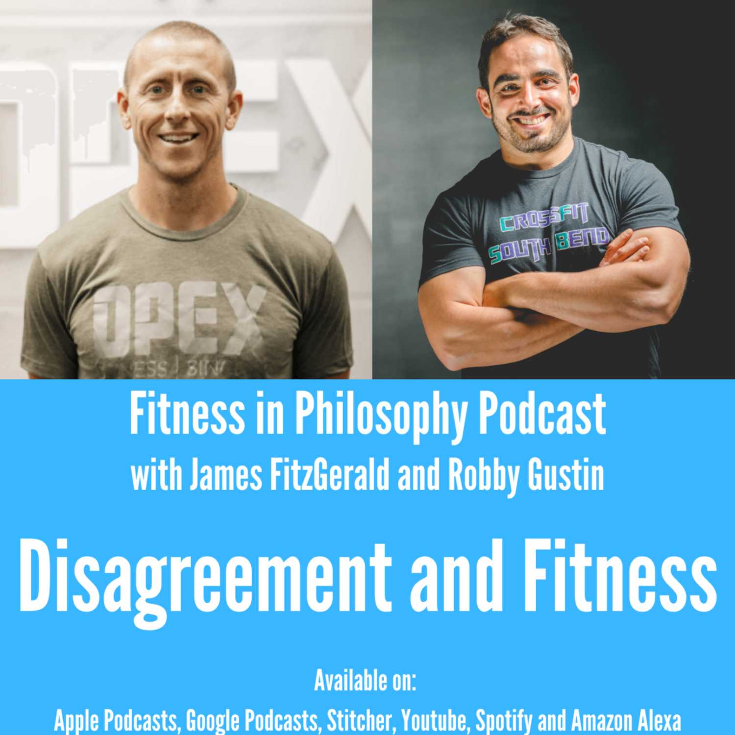 Fitness in Philosophy