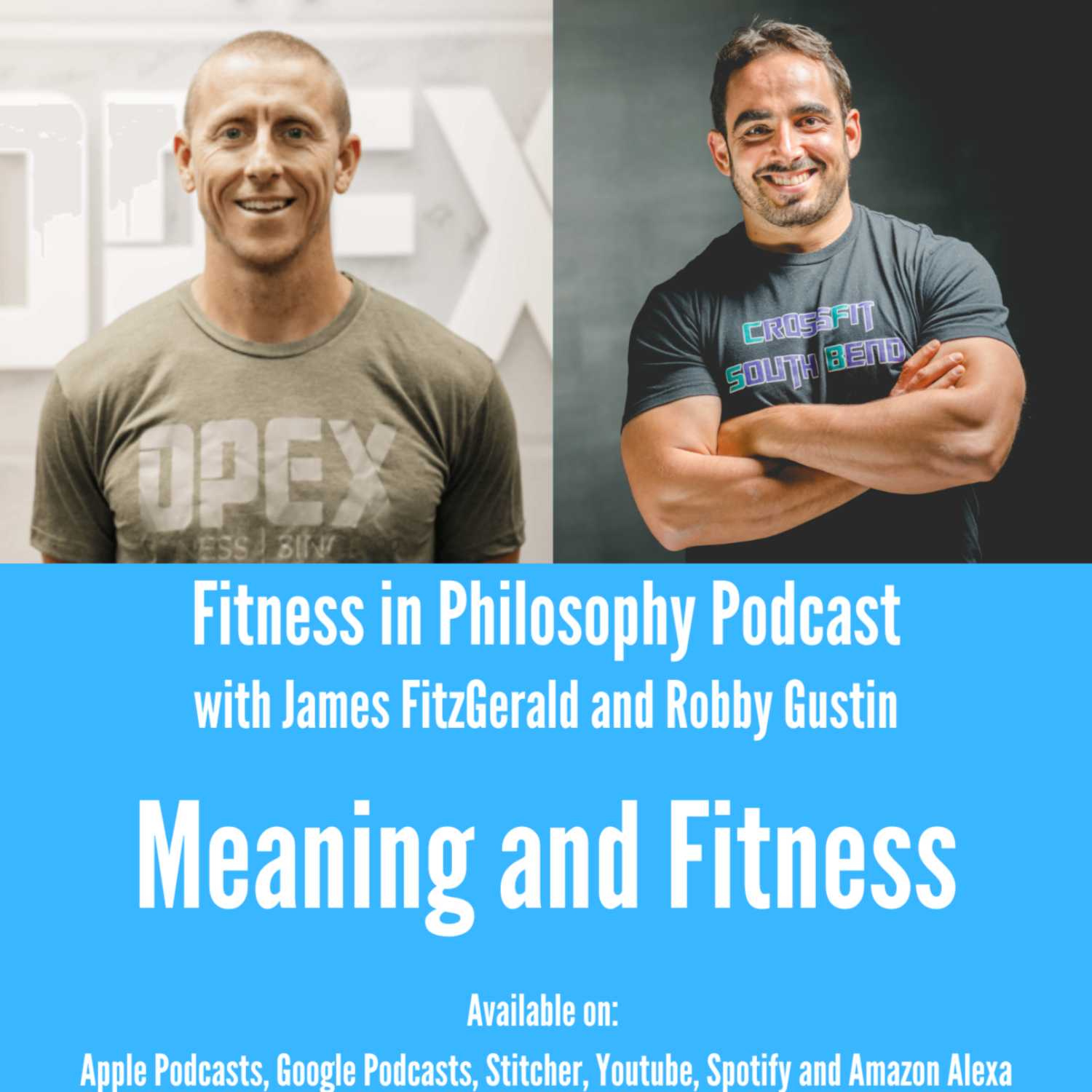 Fitness in Philosophy