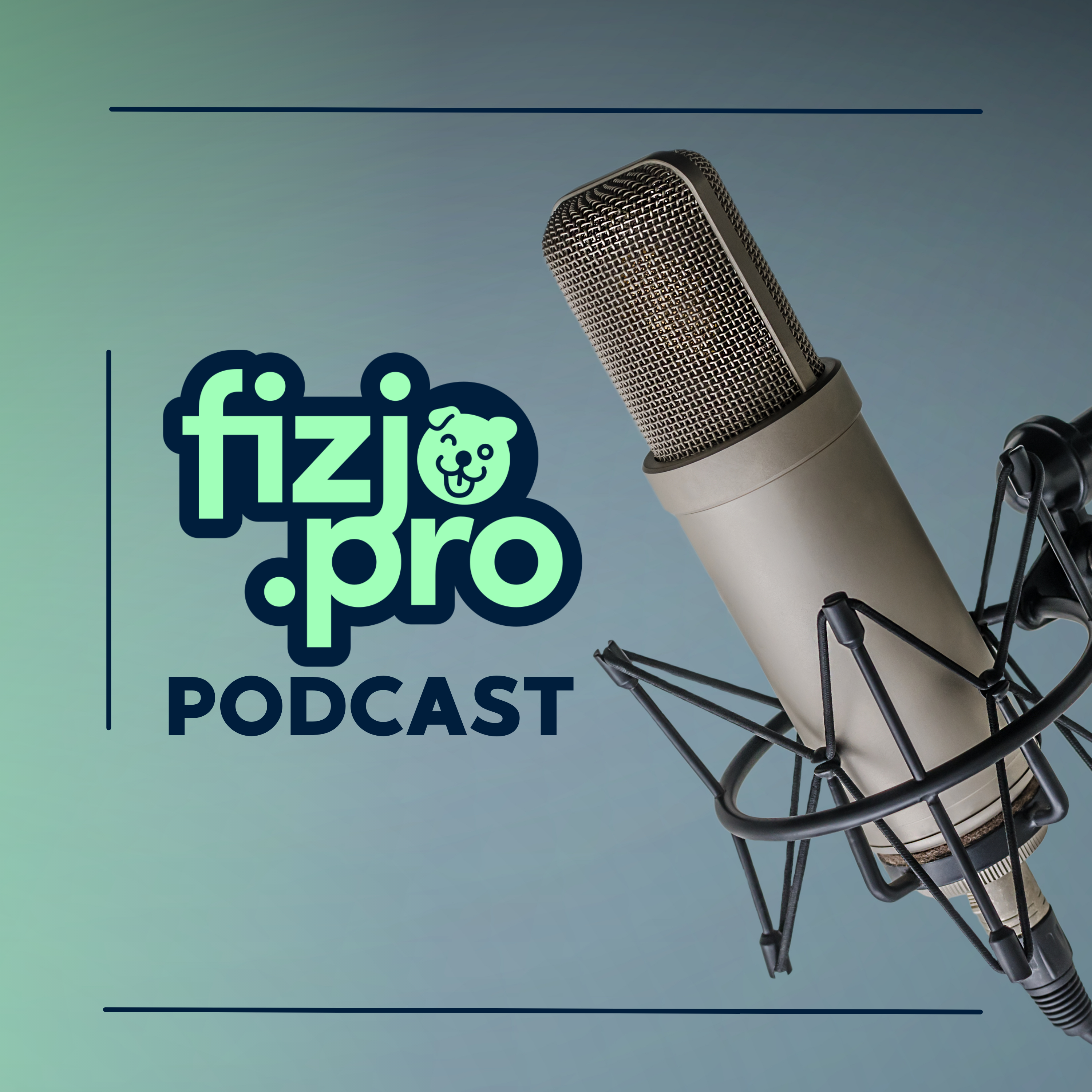 Podcast Fizjo.pro podcast artwork