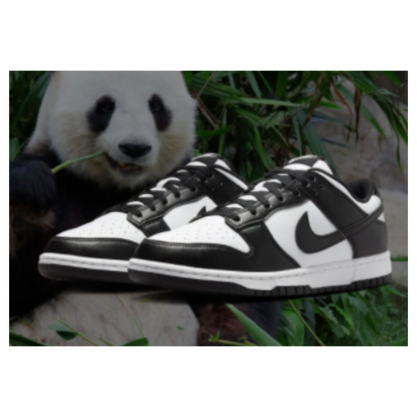 sneakergeek