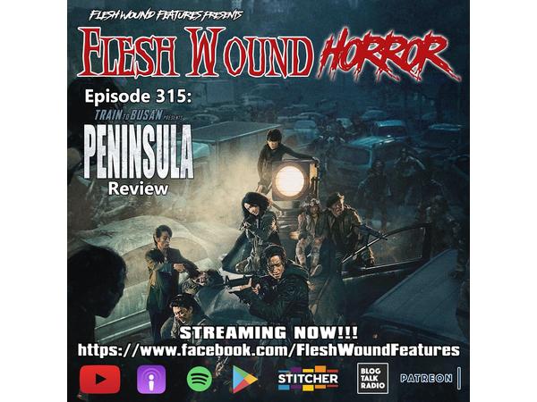 Flesh Wound Radio - Ep.315: Train to Busan Presents PENINSULA Review (8/25/20) episode artwork