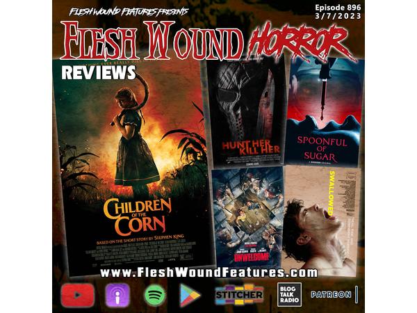 Flesh Wound HORROR - Episode 896: All New Reviews including HUNT HER, KILL HER episode artwork