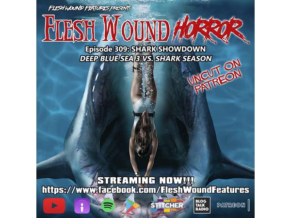 Flesh Wound Radio - Episode 309: Shark Showdown (8/16/2020) episode artwork