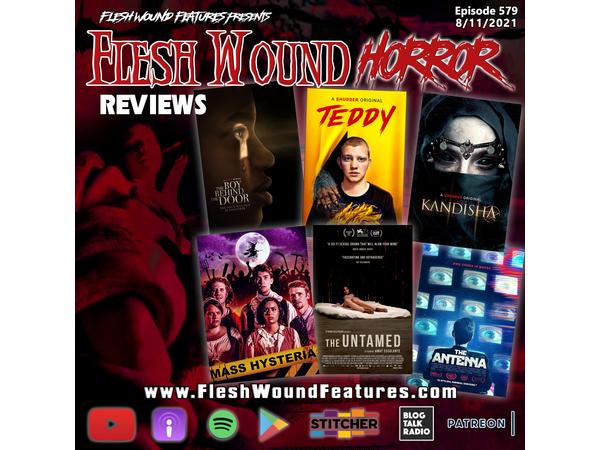 Flesh Wound HORROR - Episode 579: SHUDDER Special Featuring THE SUICIDE SQUAD episode artwork