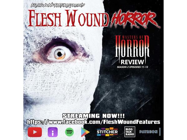 Flesh Wound HORROR - Episode 380: MASTERS OF HORROR Review Part 8 (10/26/20) episode artwork