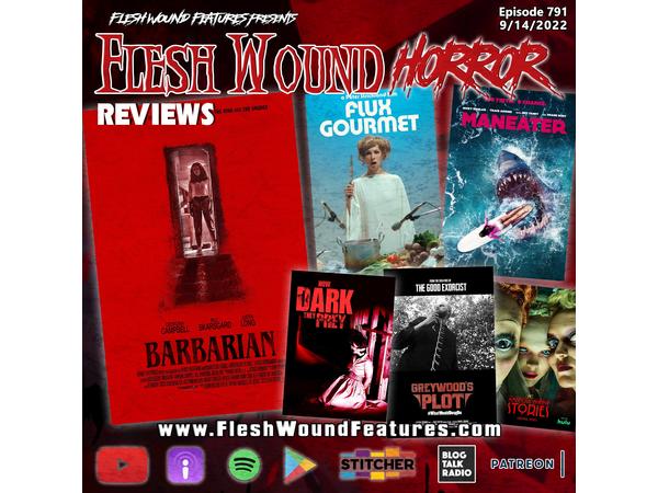 Flesh Wound HORROR - Episode 791: All New Reviews including BARBARIAN episode artwork