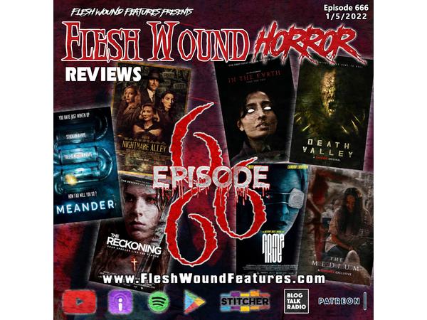Flesh Wound HORROR - Episode 666 - 8 All New Reviews!!! episode artwork