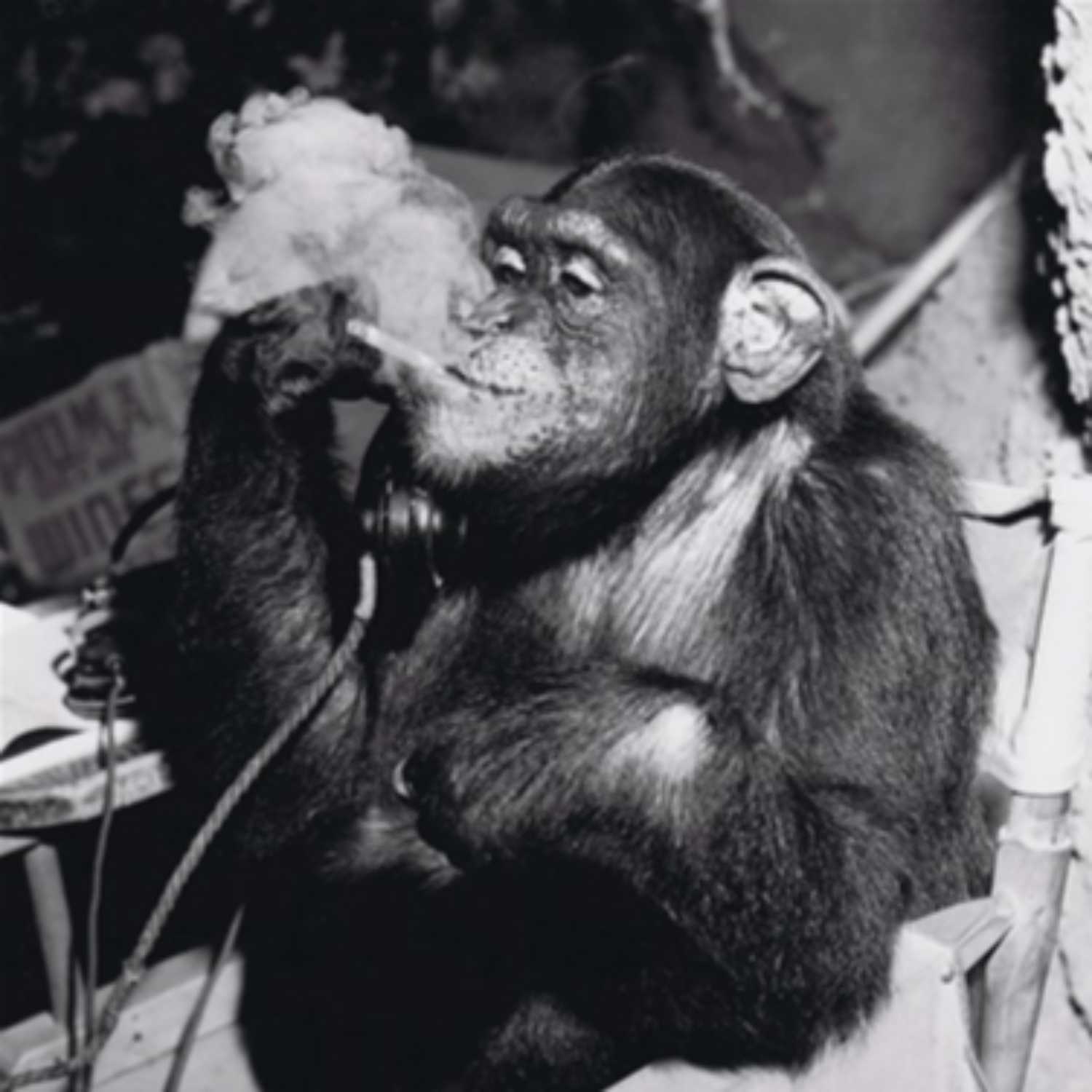 FLOATING SPIRITS FM cover art