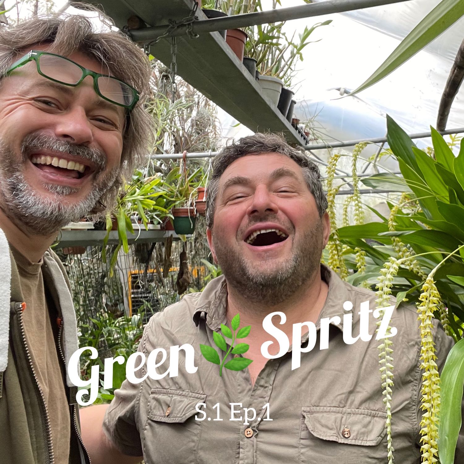 Green Spritz   aperitivo nel mondo del verde