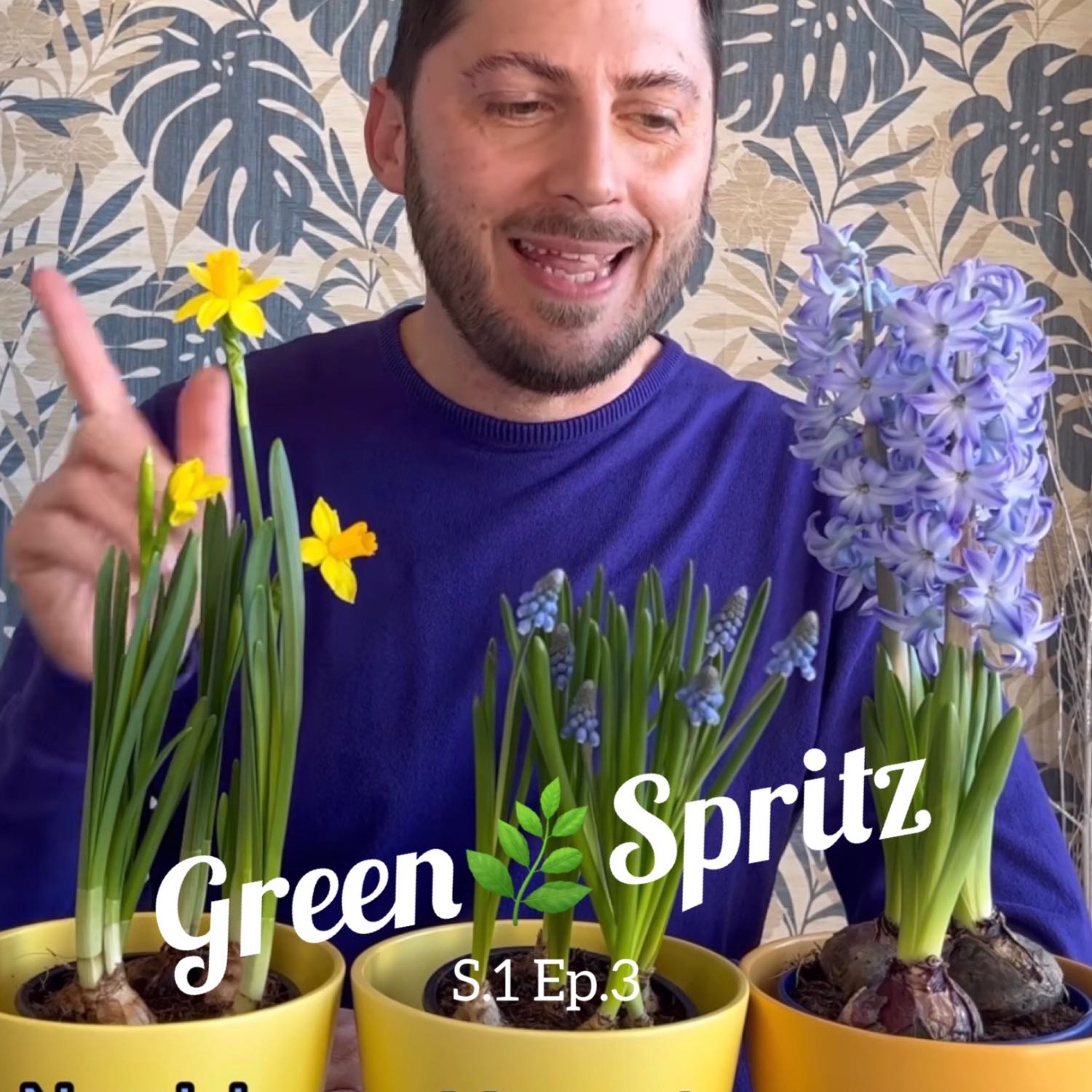 Green Spritz   aperitivo nel mondo del verde