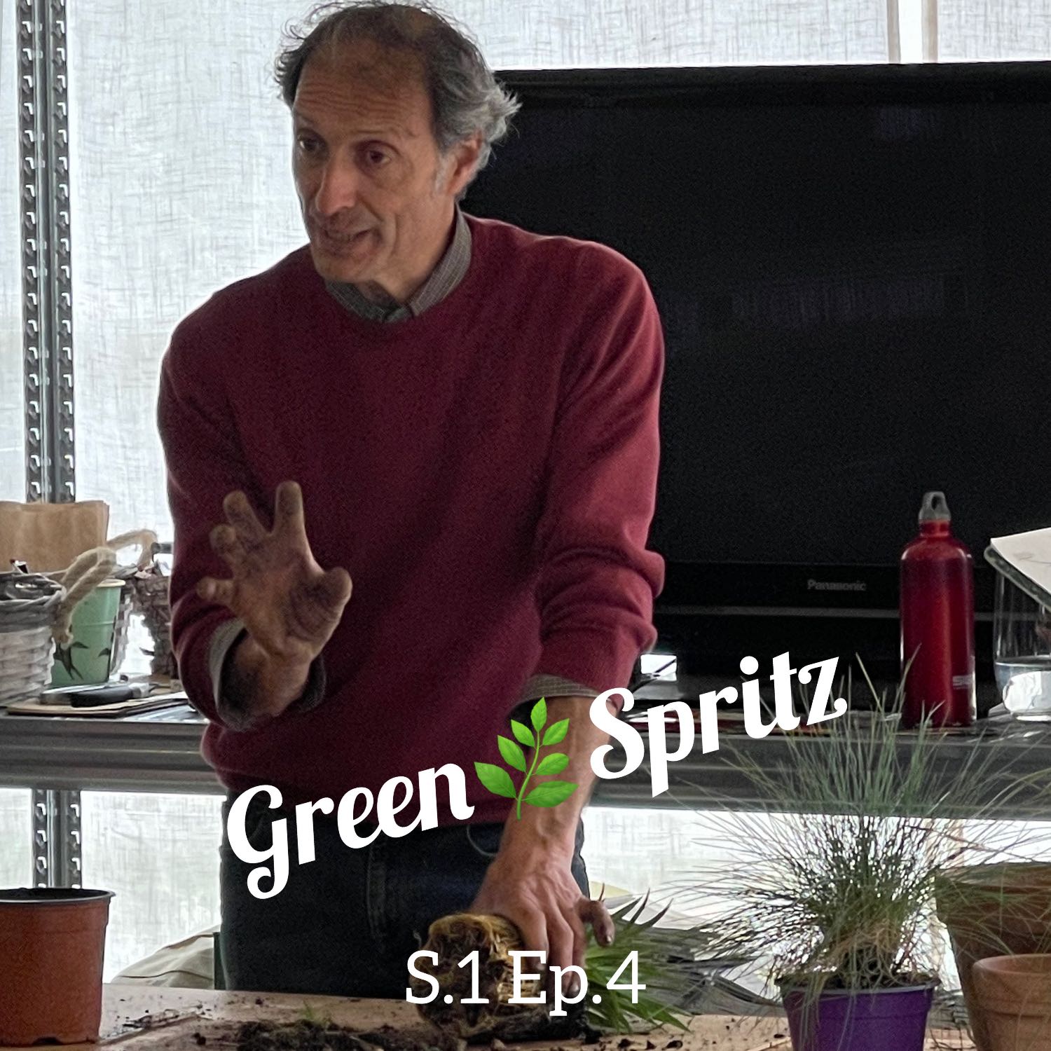 Green Spritz   aperitivo nel mondo del verde