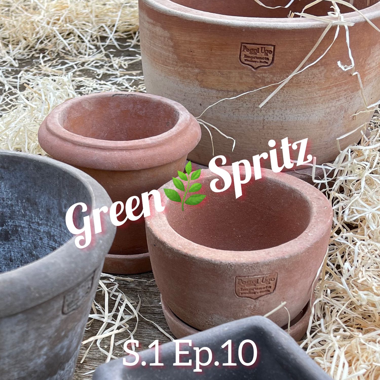 Green Spritz   aperitivo nel mondo del verde