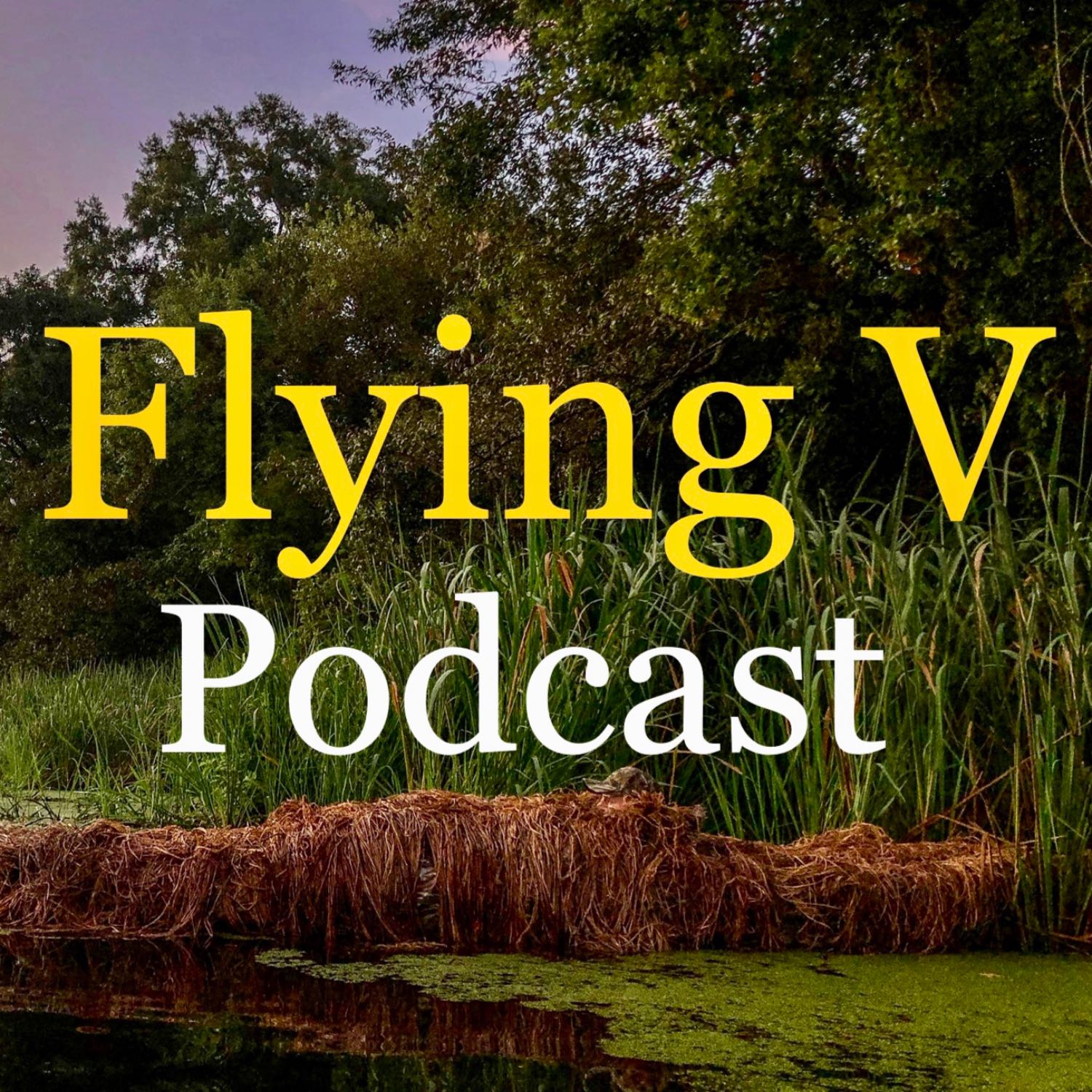 Flying V Podcast