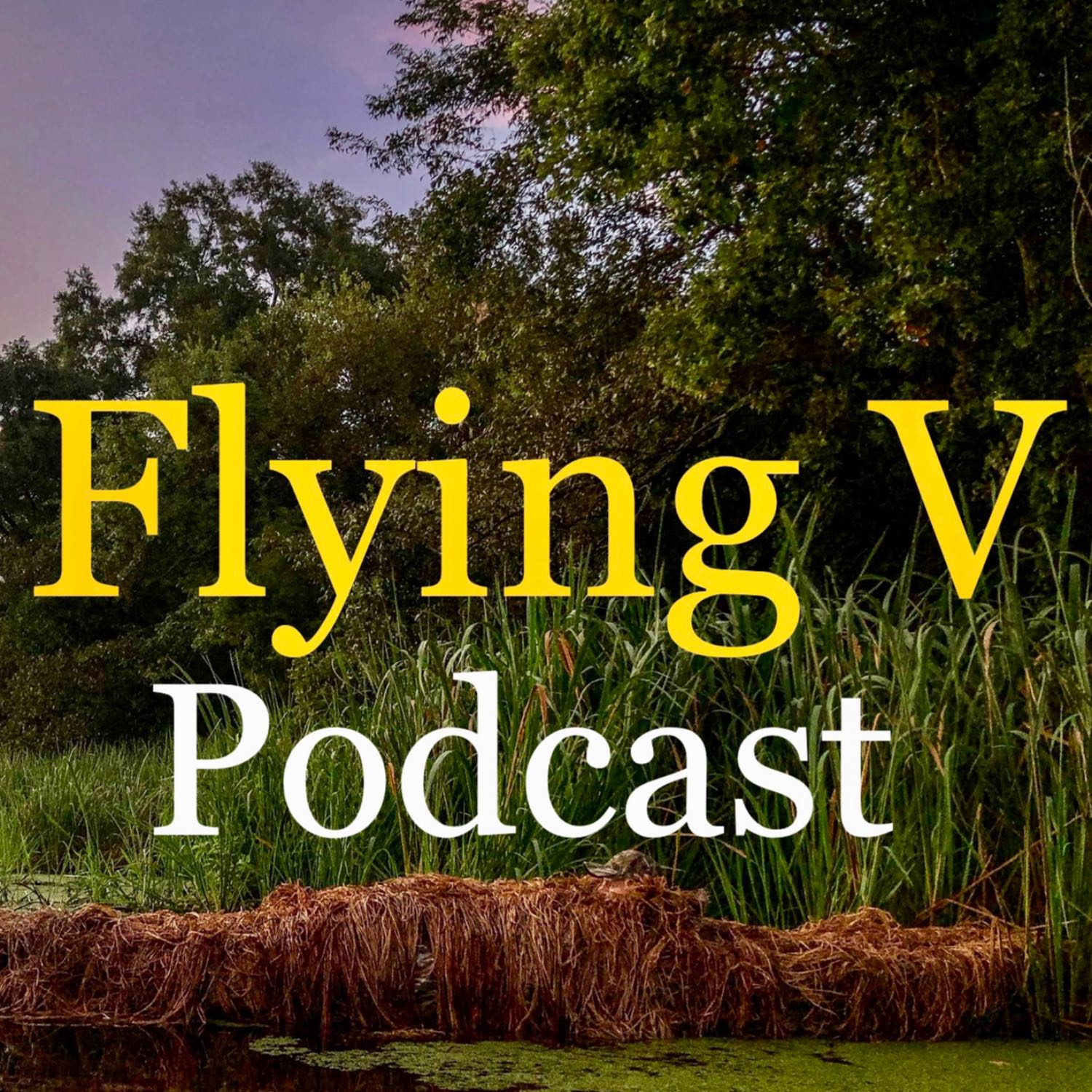 Flying V Podcast