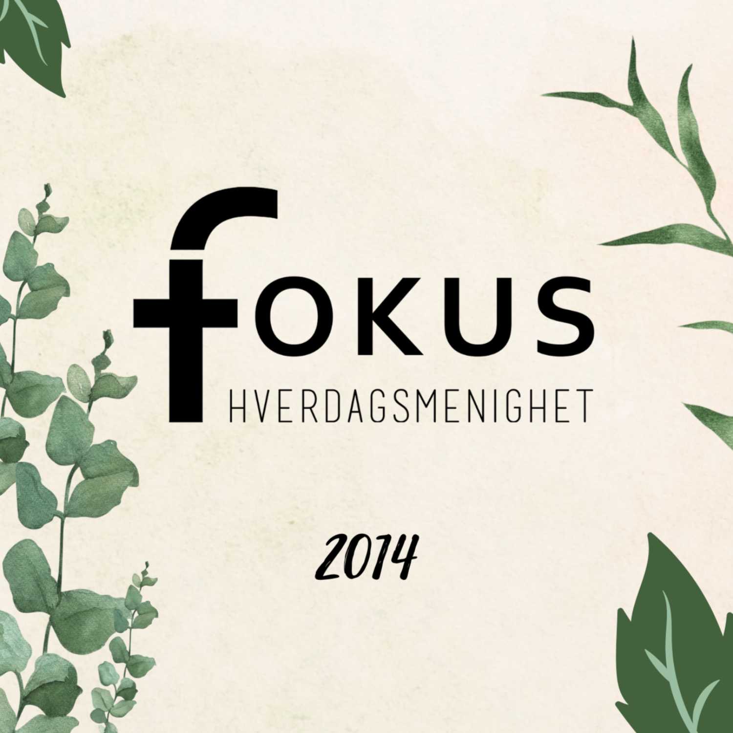 Fokus Hverdagsmenighet